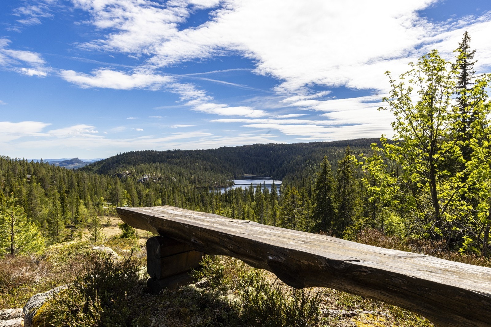Området byr på fine rasteplasser og storslått natur. Galleribilde
