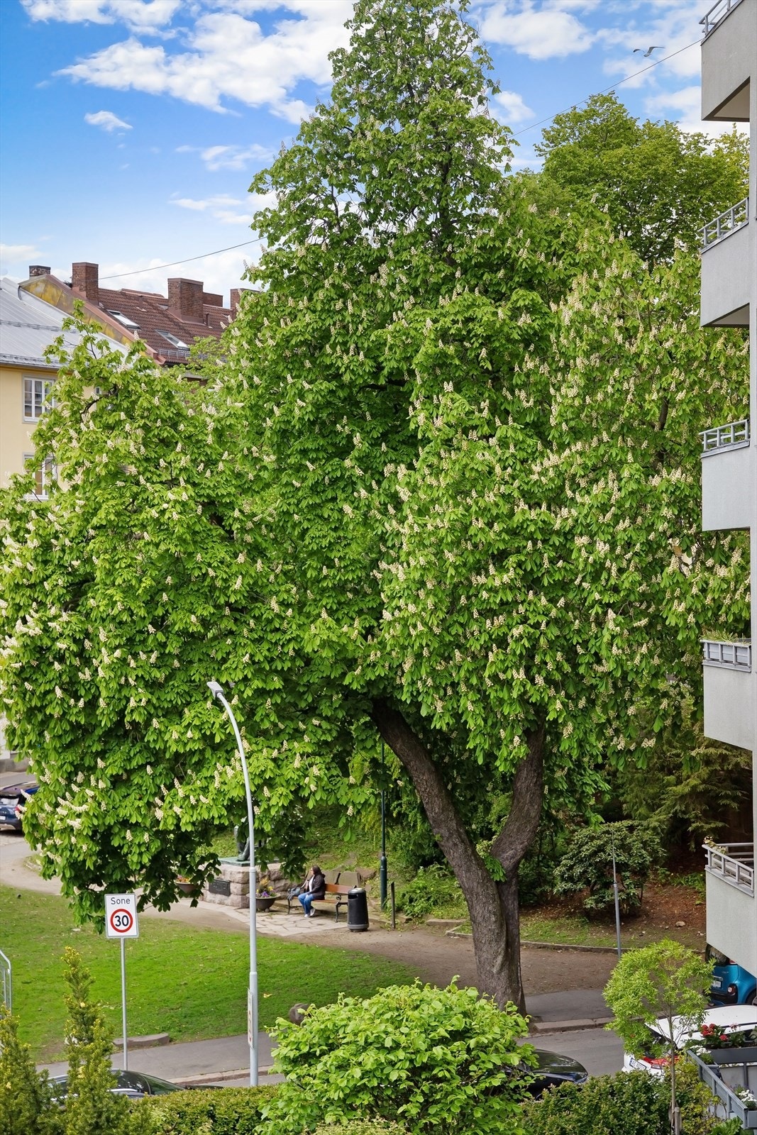 Nærhet til flere parker, som Slottsparken, Skillebekkparken og idylliske Uranienborgparken. Galleribilde