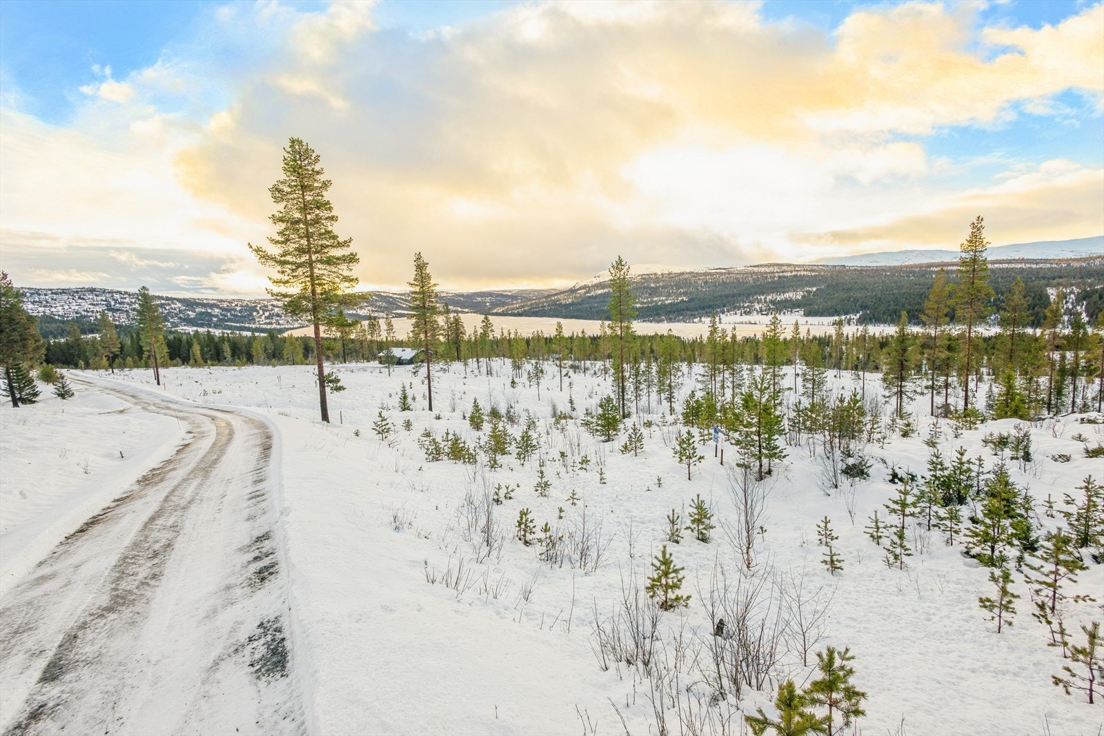 Utsikten strekker seg milevis over skog og fjell. Galleribilde