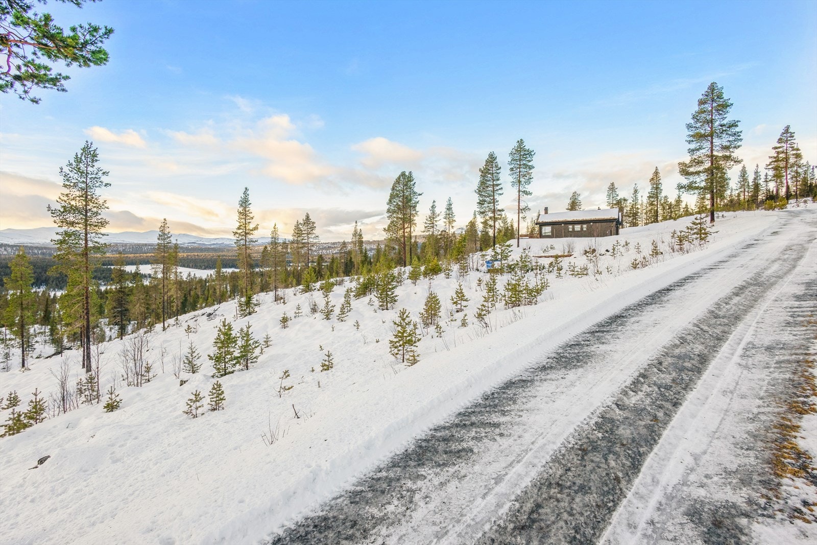 Helårsvei sikrer enkel adkomst til eiendommen uansett årstid. Galleribilde