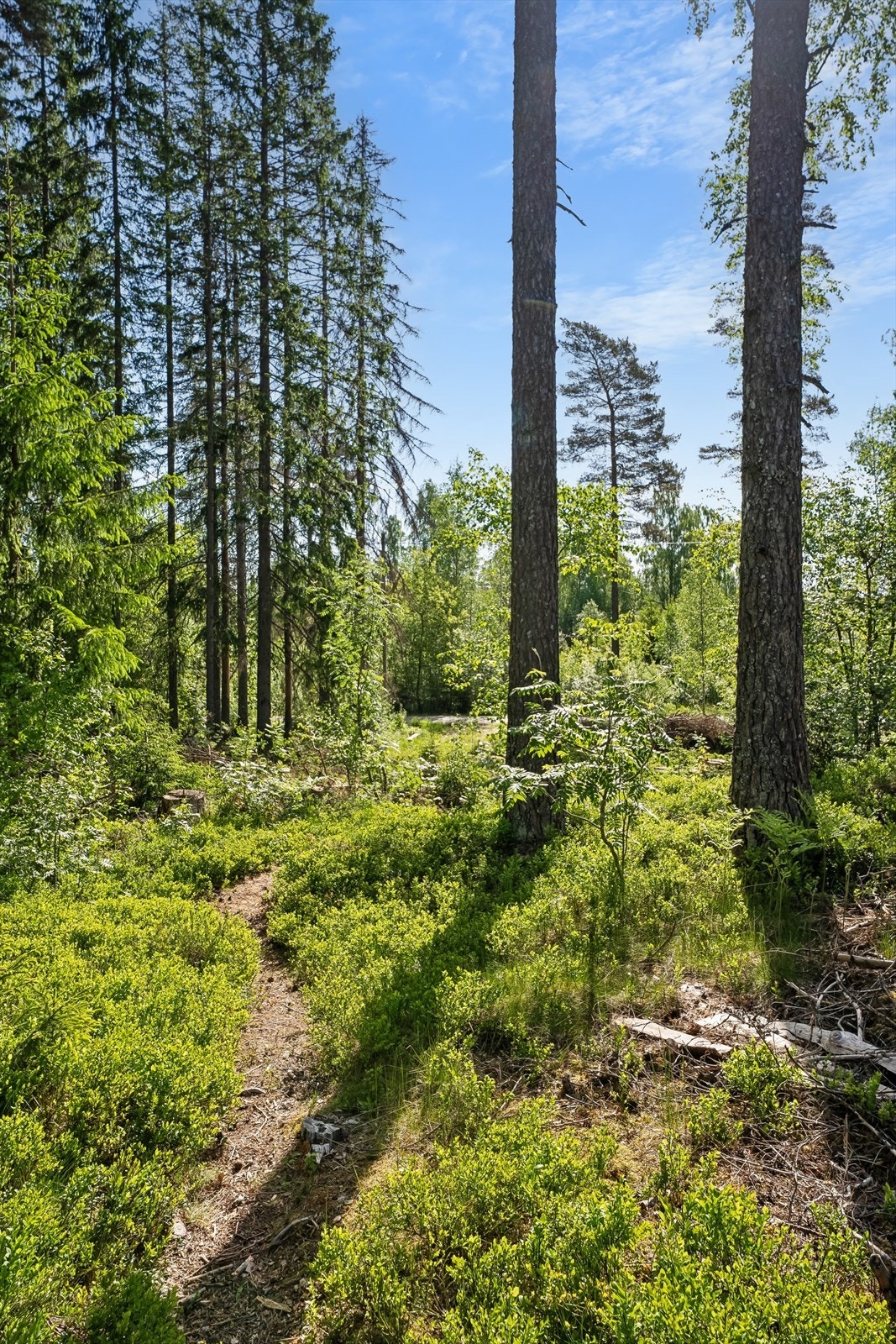 Det er parkering på tomten. Galleribilde