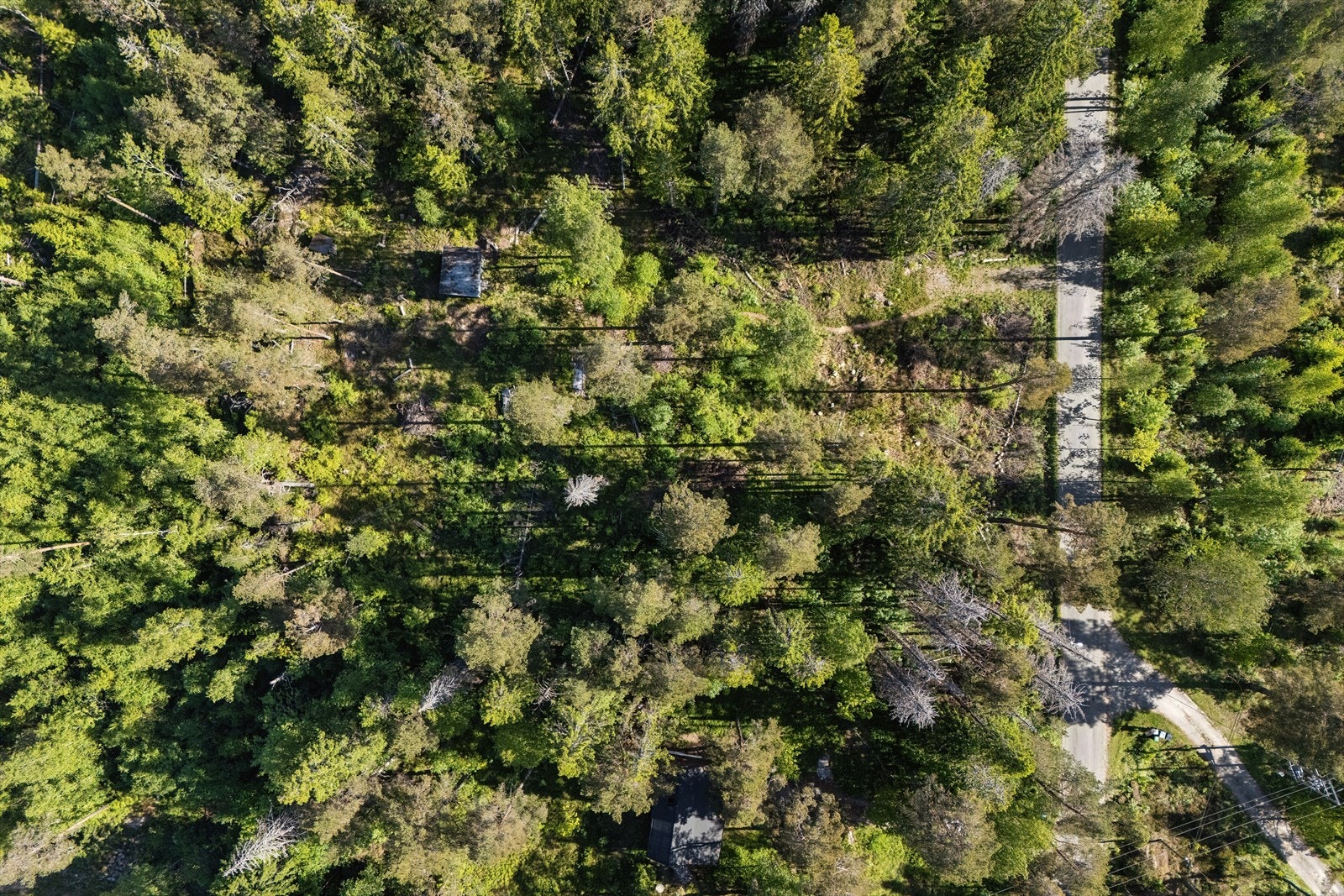Oversiktsbilde av tomten tatt med drone. Galleribilde