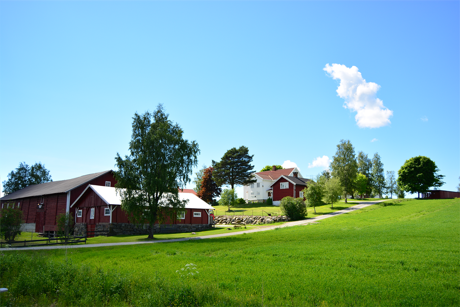 Du visste vel at Munch er født på Løten? Joda, her på Engelaug Østre! Galleribilde