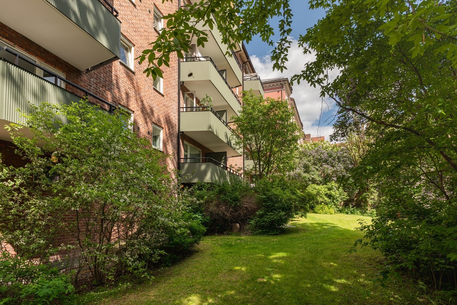 Den frodige, felles hagen er pent opparbeidet og tilbaketrukket. Galleribilde