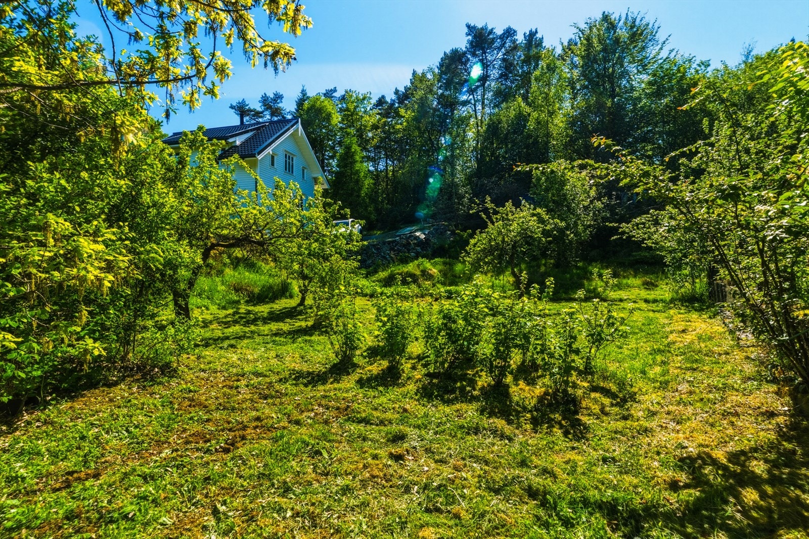 Det er mer enn nok plass til både små og store, og mulighetene er mange Galleribilde