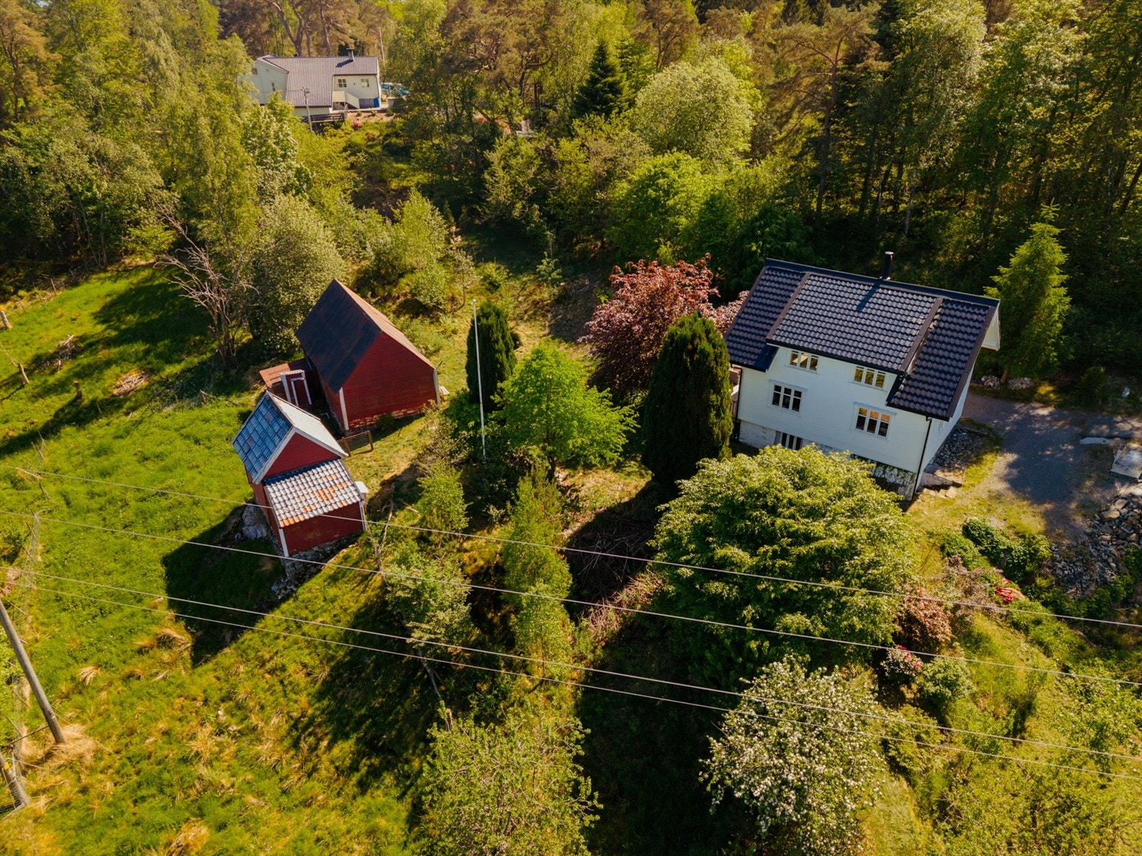 Velkommen til visning! Galleribilde