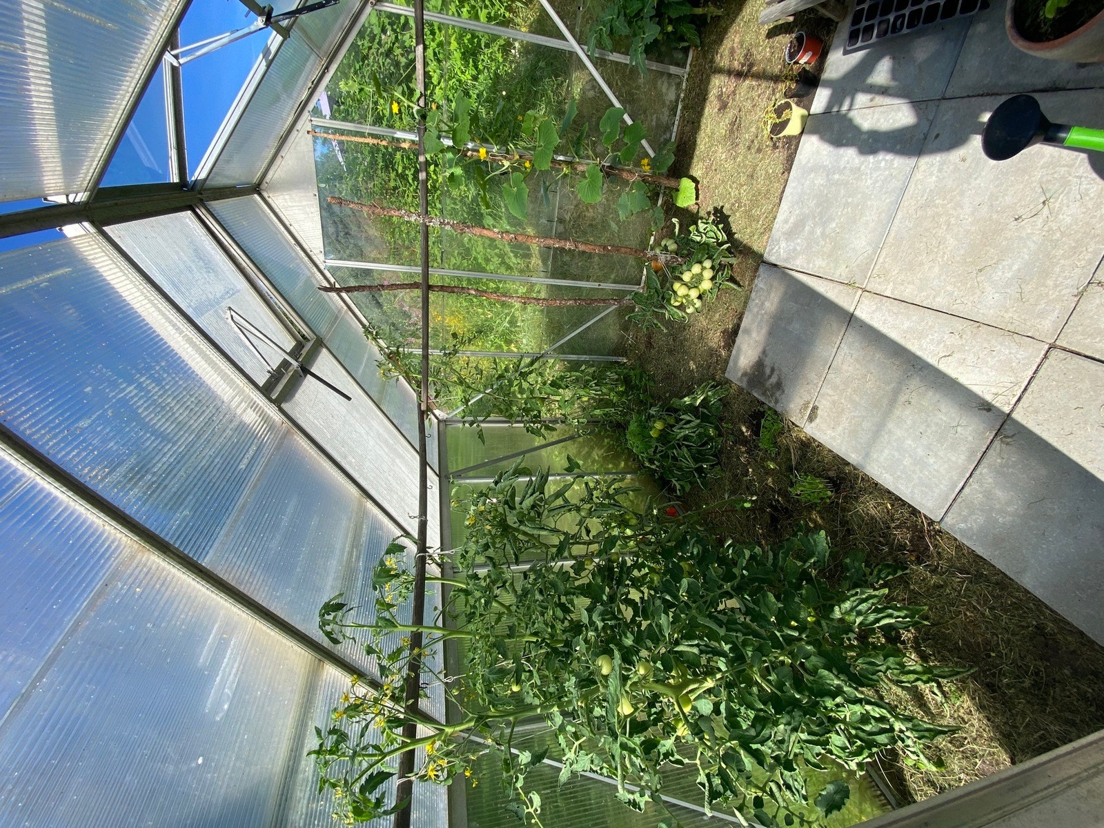 Selgers private bilder. Galleribilde