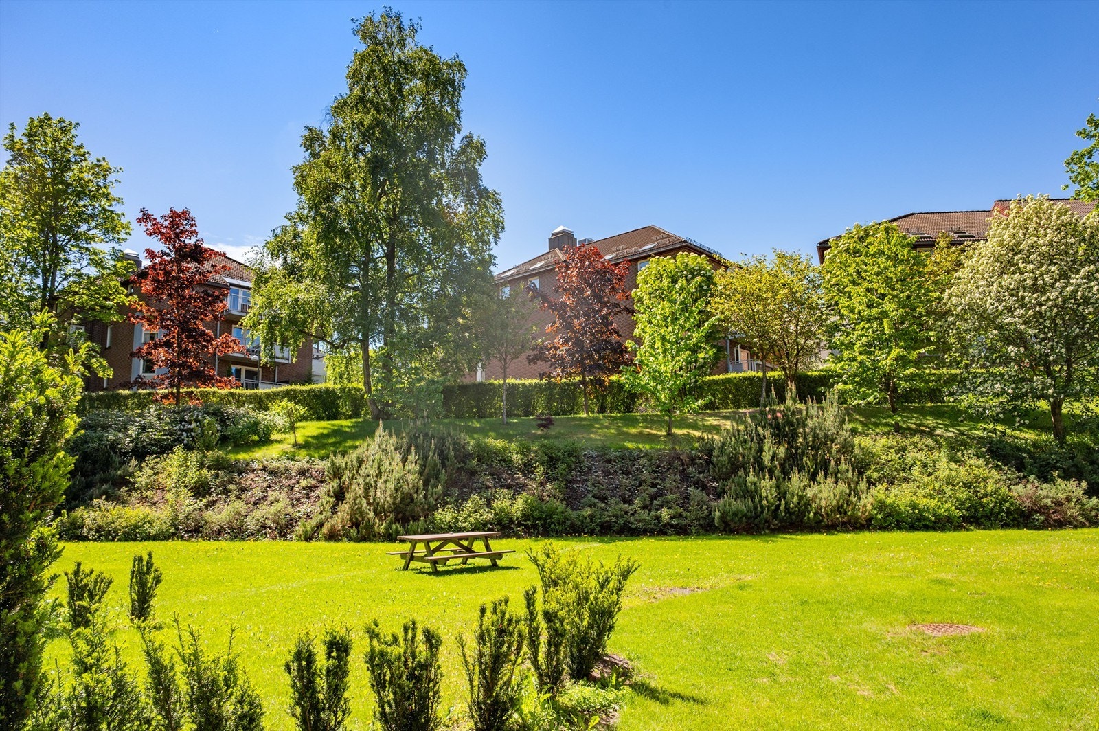 Fra eiendommen er det gangavstand til parkområder som Voldsløkka og turstiene langs Akerselva. Galleribilde
