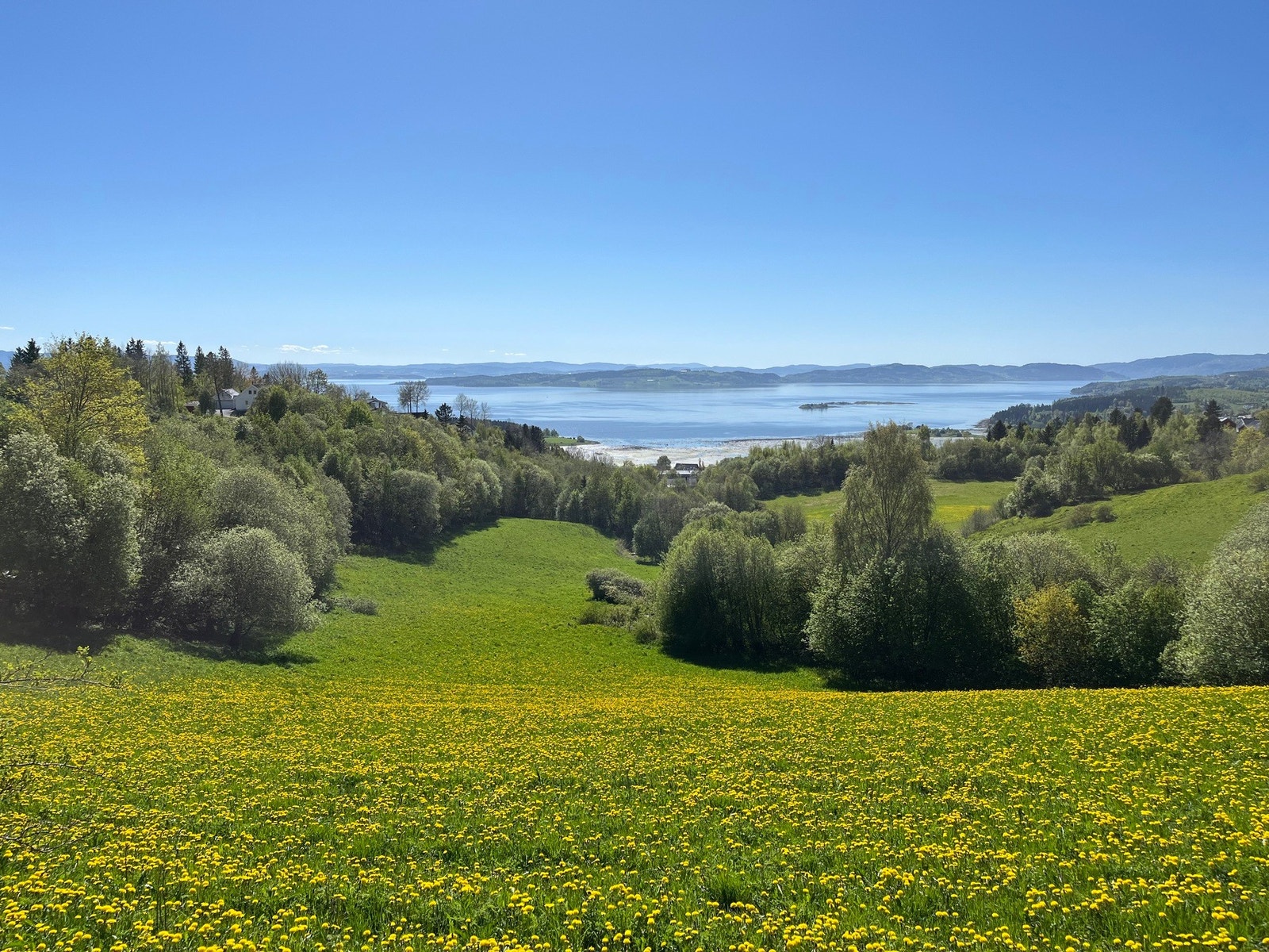 Nærområdet Galleribilde