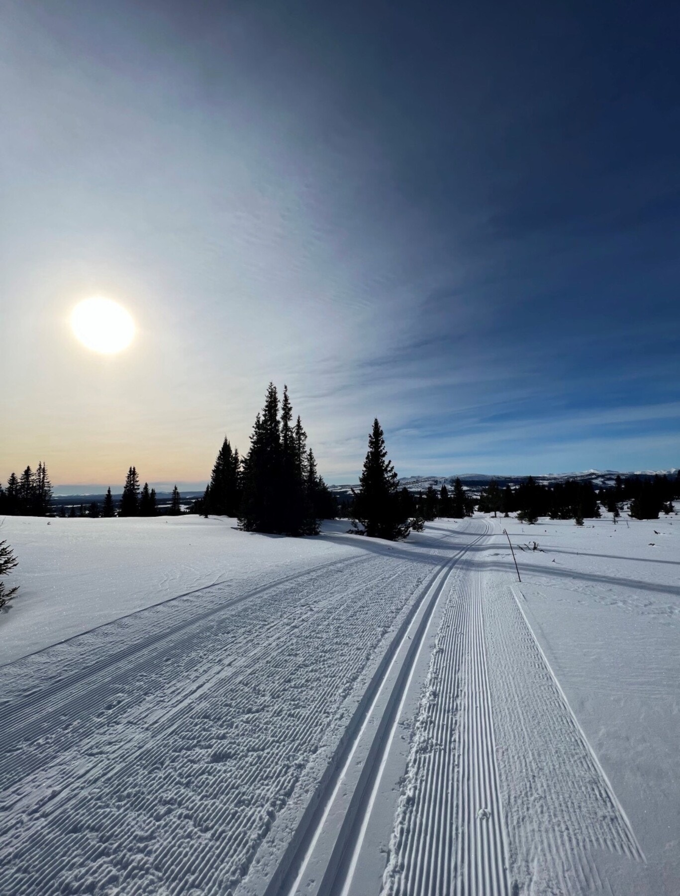 Vinterstid finner man skiløypene omtrent 500 meter fra eiendommen. Skiløypene går gjennom vakkert vinterlandskap og her kan du gå milevis i flotte preparerte skiløyper. Bilde fra selgers arkiv. Galleribilde