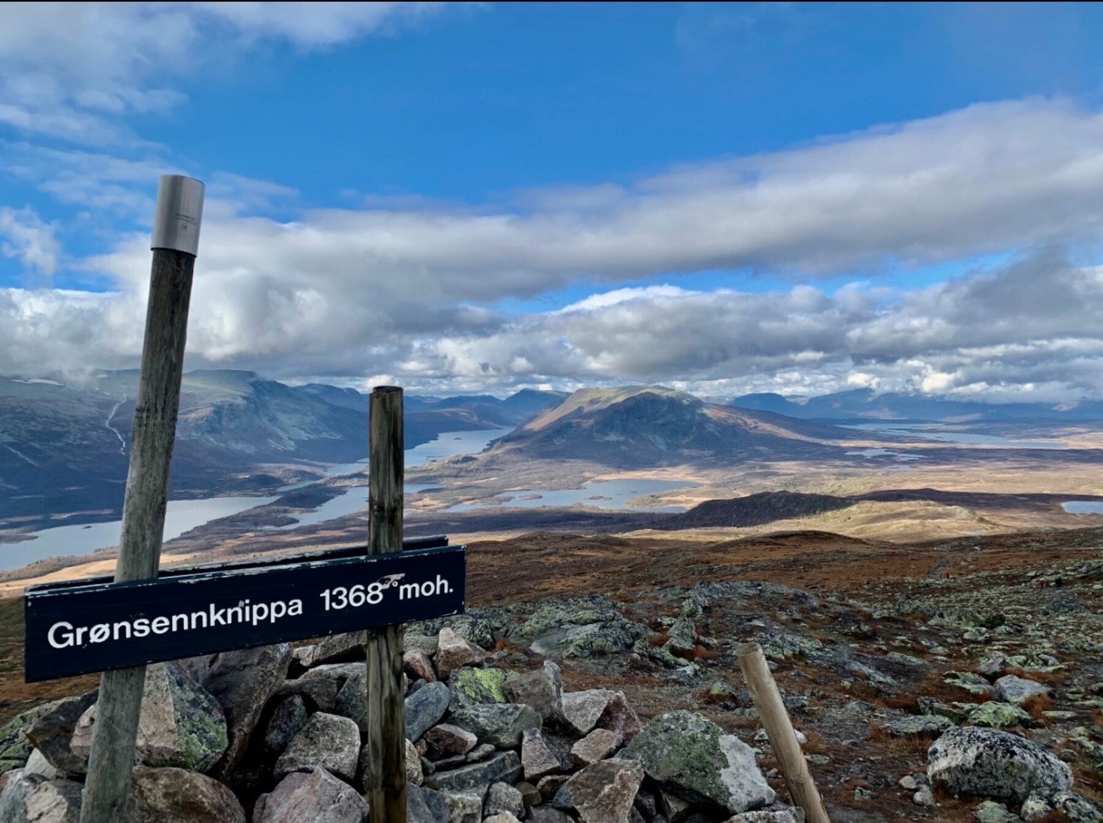 Grønsennknippa 1368 m.o.h. Bilde fra selgers arkiv. Galleribilde