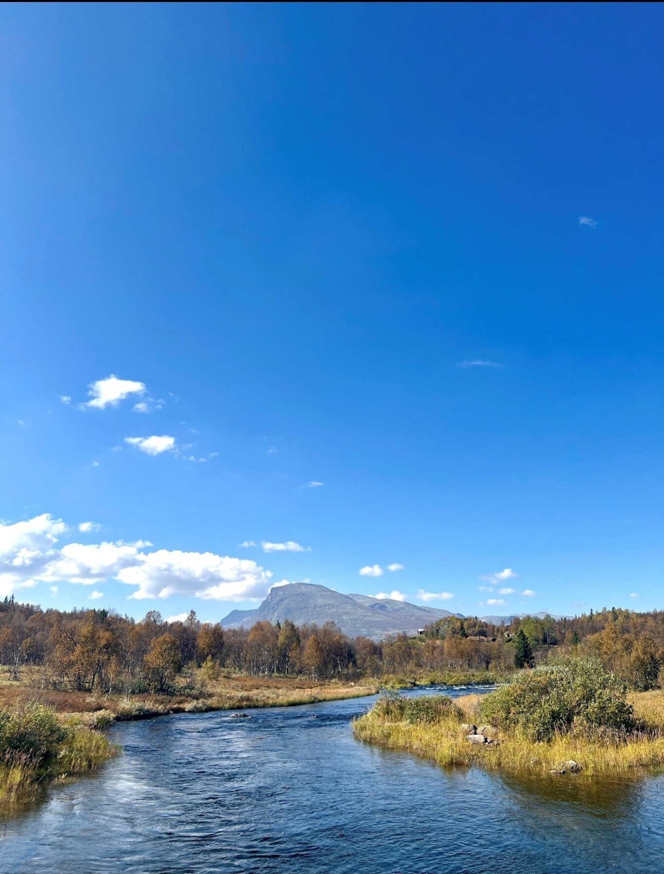 Nydelig utsikt mot Skogshorn. Bilde fra selgers arkiv. Galleribilde