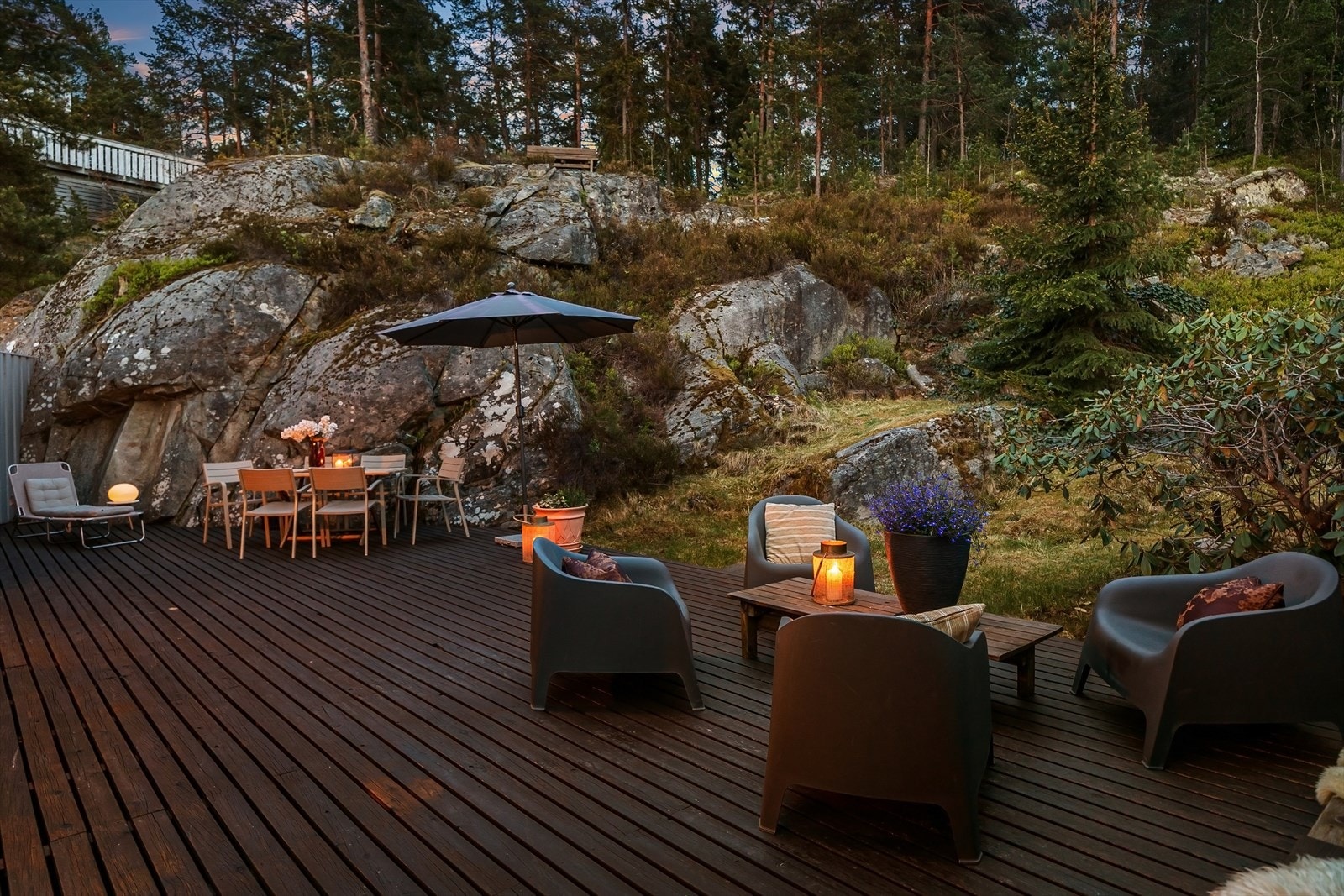 Her får du en helt spesiell nærhet til naturen, med skogen som nærmeste nabo! Galleribilde