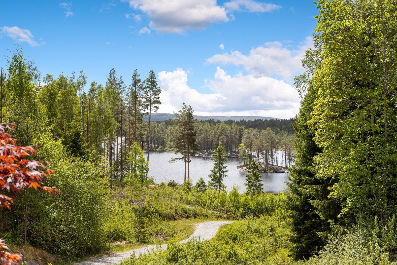 Nærområdet legger til rette for aktiviteter sommer som vinter. Galleribilde
