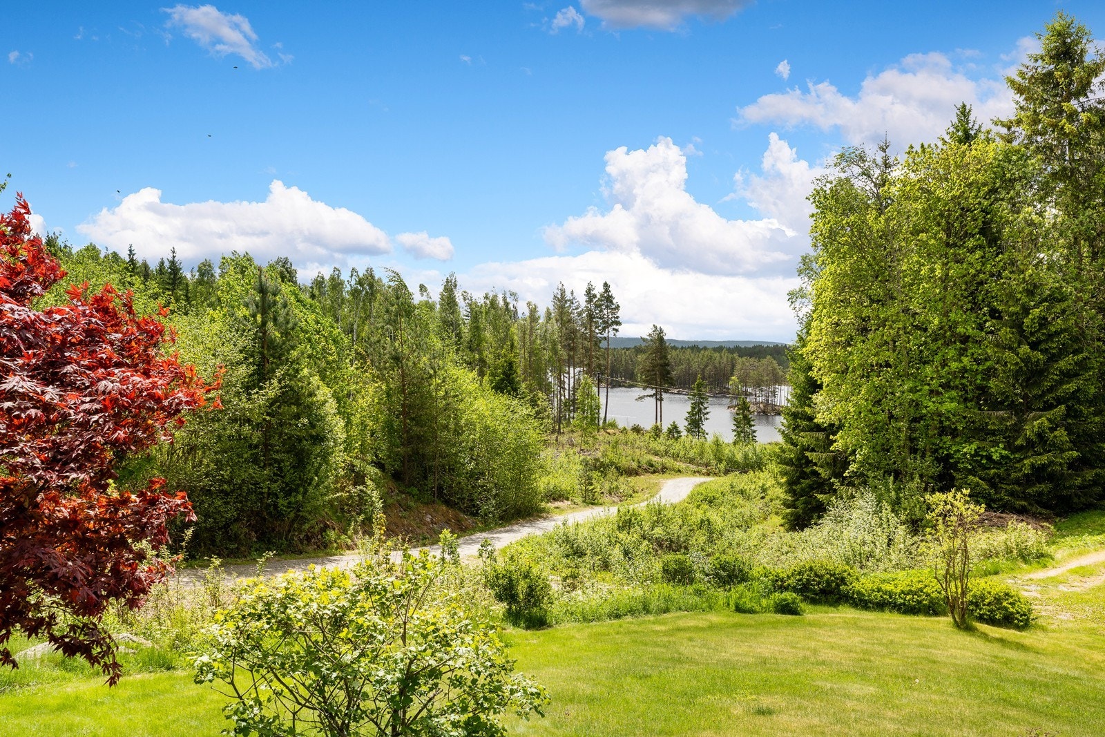 Veien hit blir også brøytet vinterstid. Galleribilde