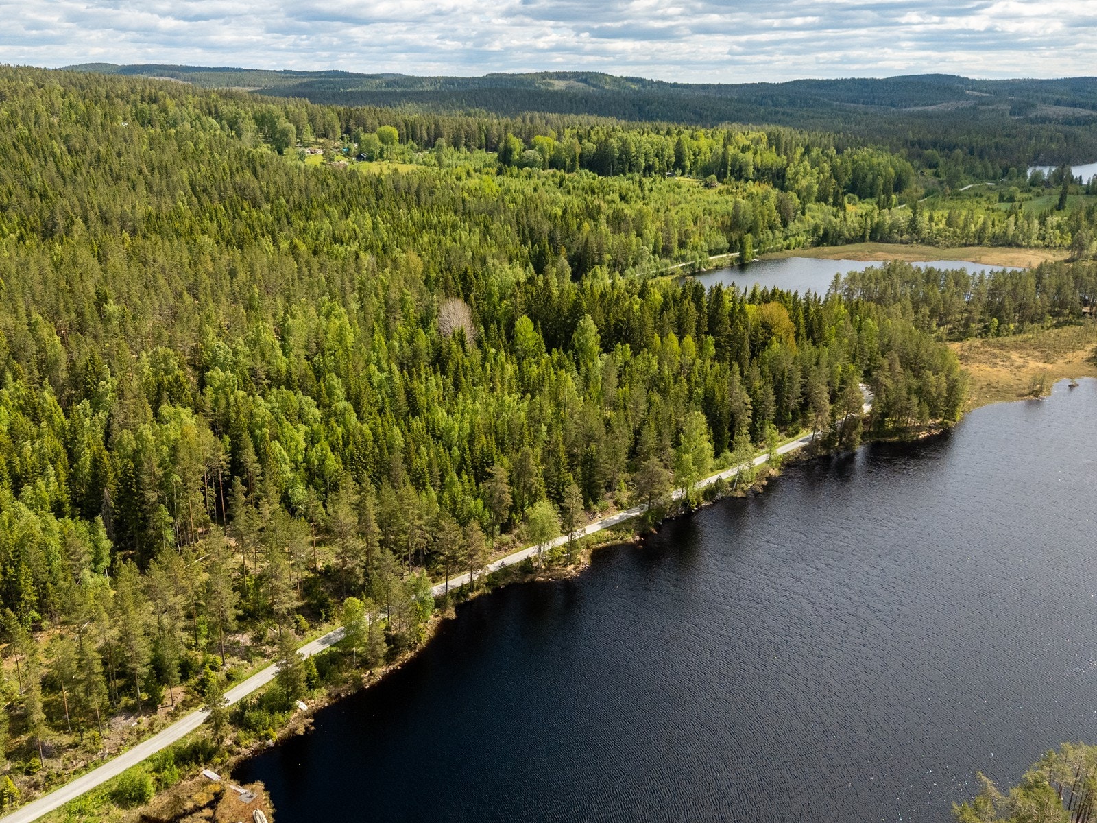 Her er det gode muligheter for flotte opplevelser med et fint jaktterreng og utallige turveier. Galleribilde
