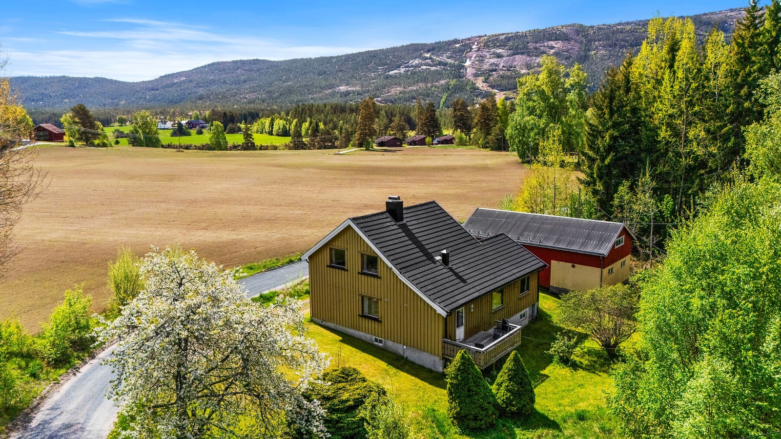 Frida Henriksveen har gleden av å presentere Vråliosvegen 238! Galleribilde