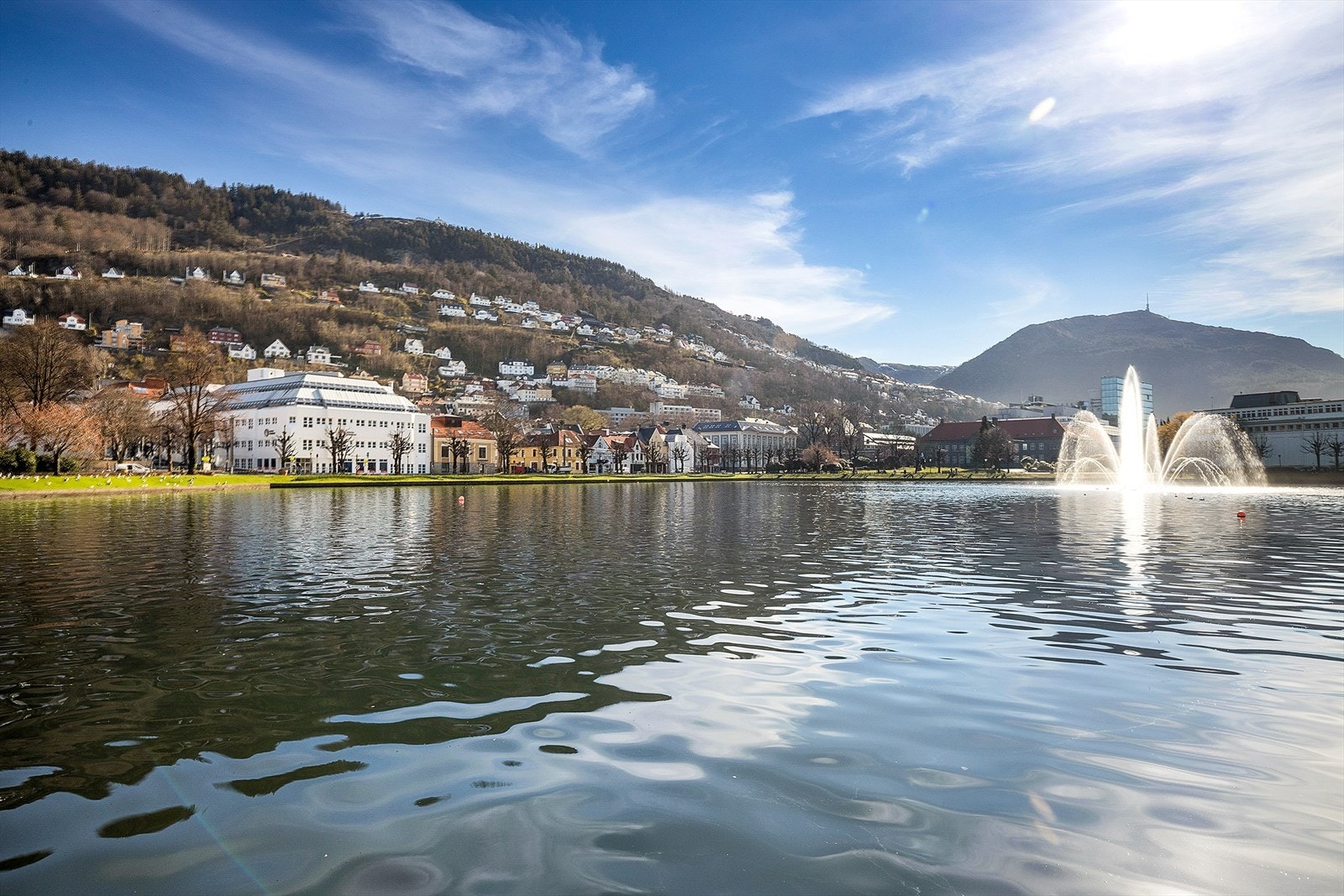 Fra boligen er det kort vei til Lille Lungegårdsvann - et populært rekreasjonsområde midt i Bergen sentrum, omgitt av vakker arkitektur, kulturtilbud og grønne omgivelser. Galleribilde