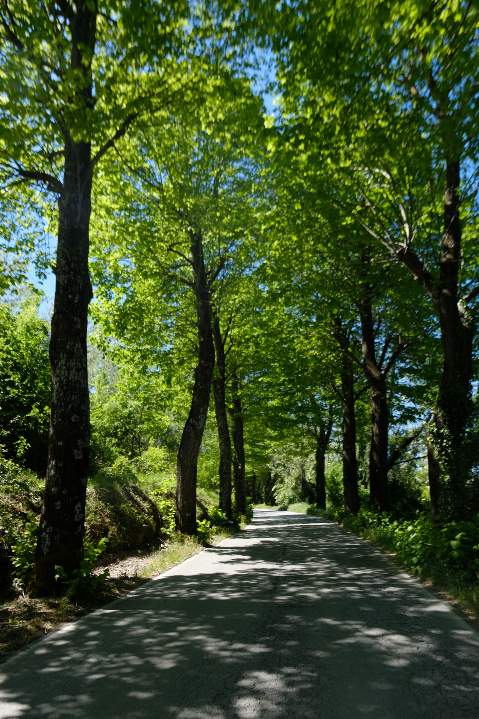 Stedet Galleribilde