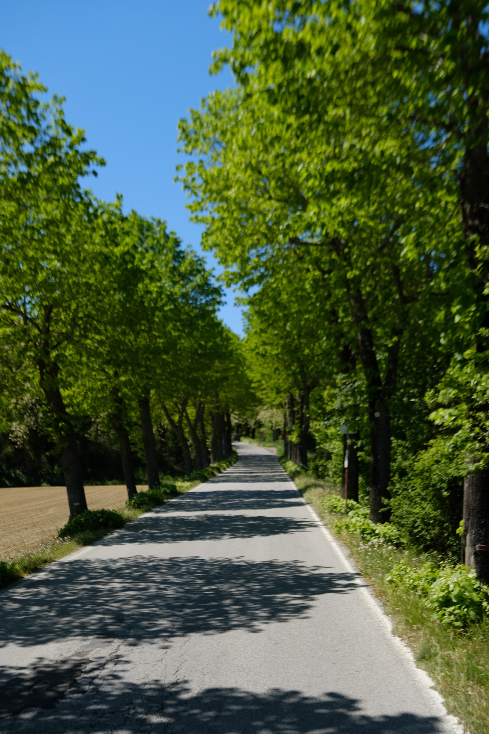 Stedet Galleribilde