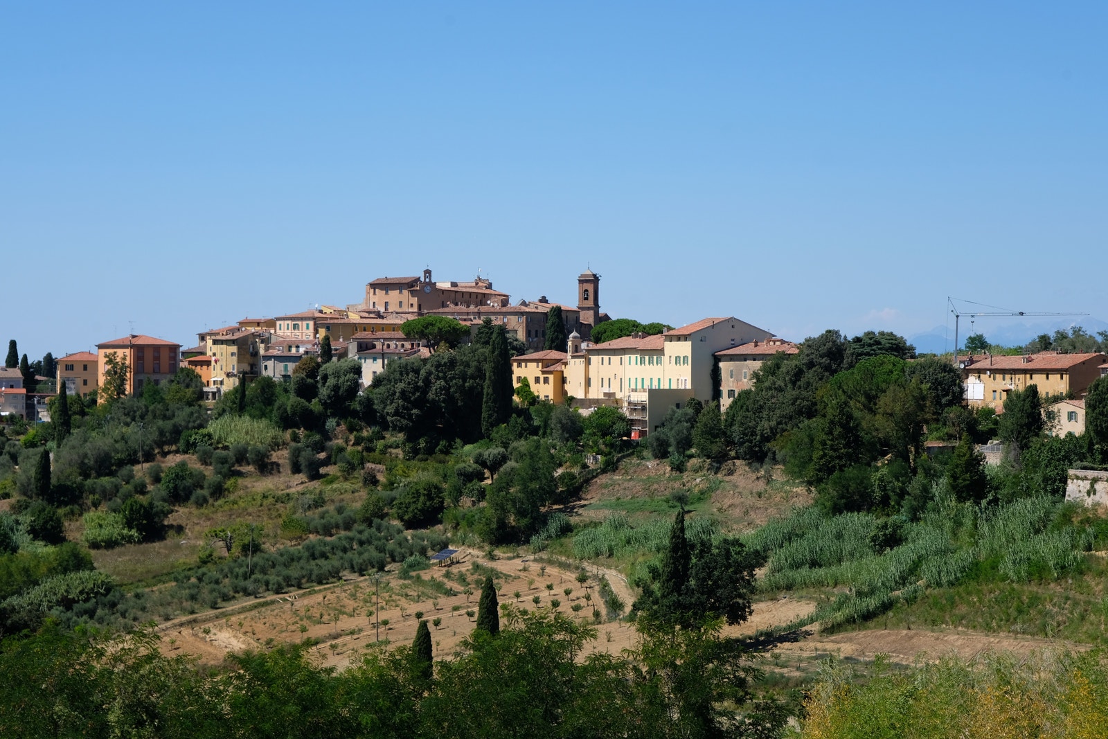 Lari Galleribilde
