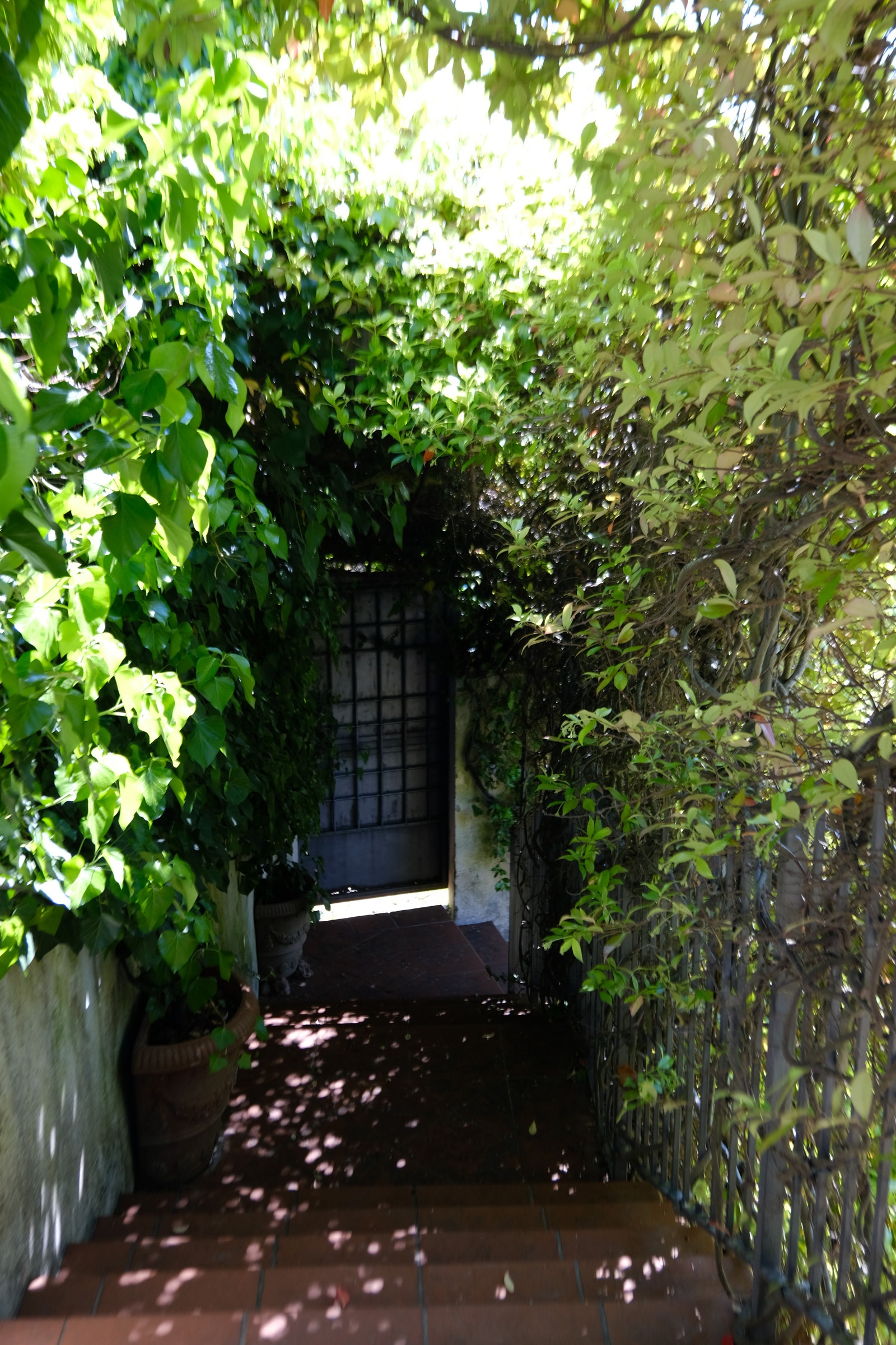 Open space rom boenhet "den gamle olivenolje fabrikken. Hage Galleribilde