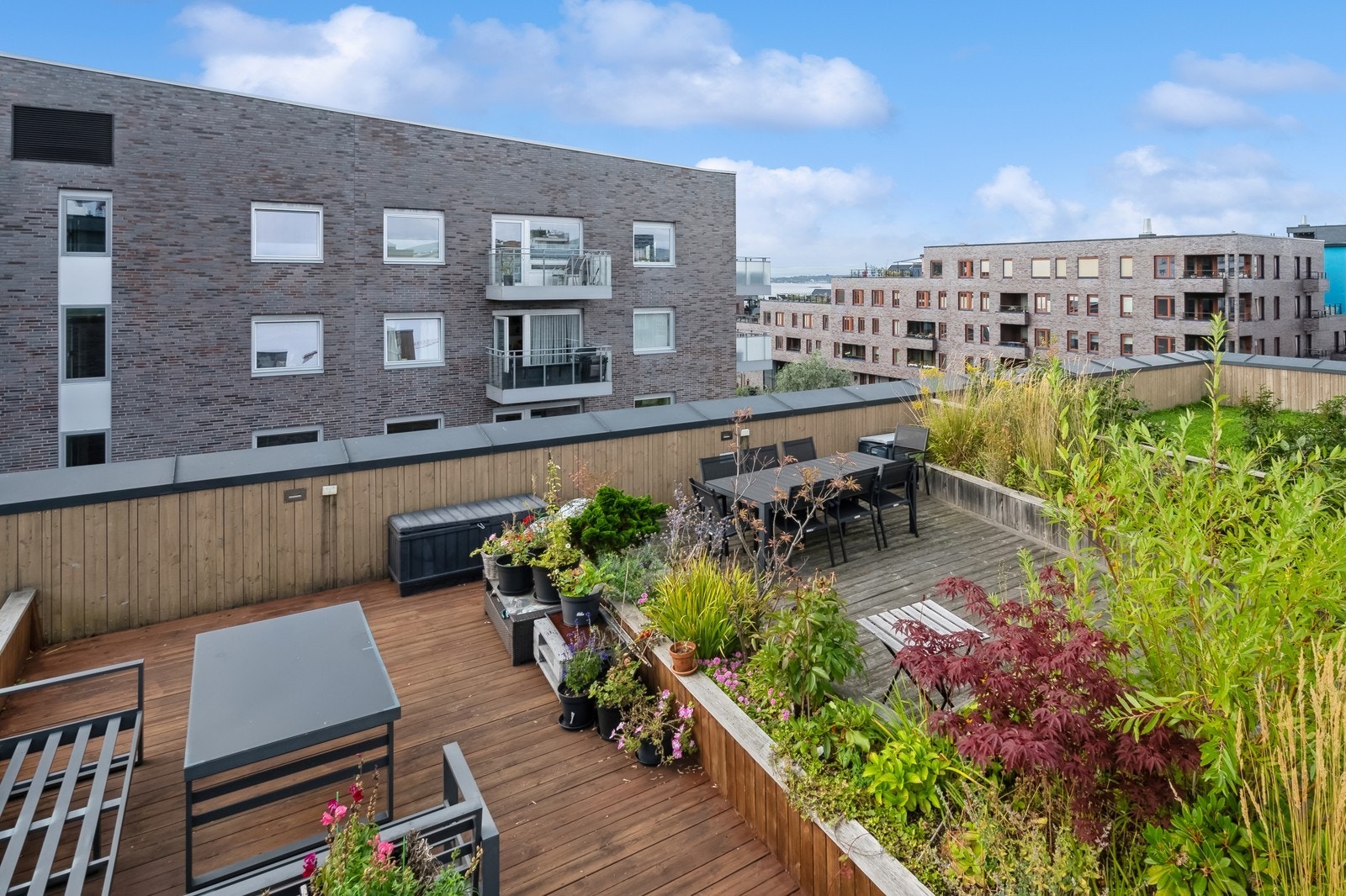 Felles takterrasse Galleribilde