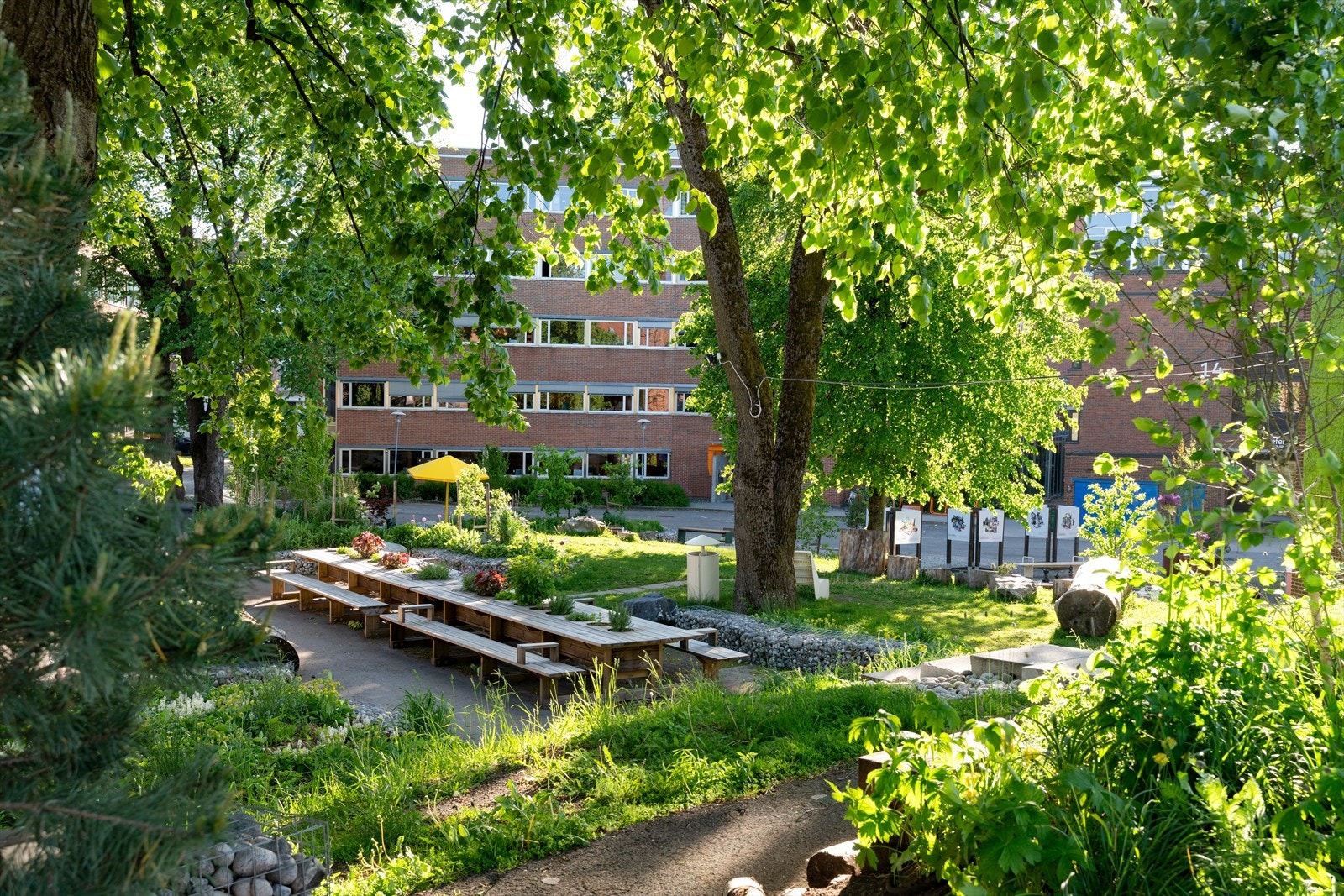 Nærområde Bylivshagen på Den Gamle Vetrinærhøgskolen. Galleribilde