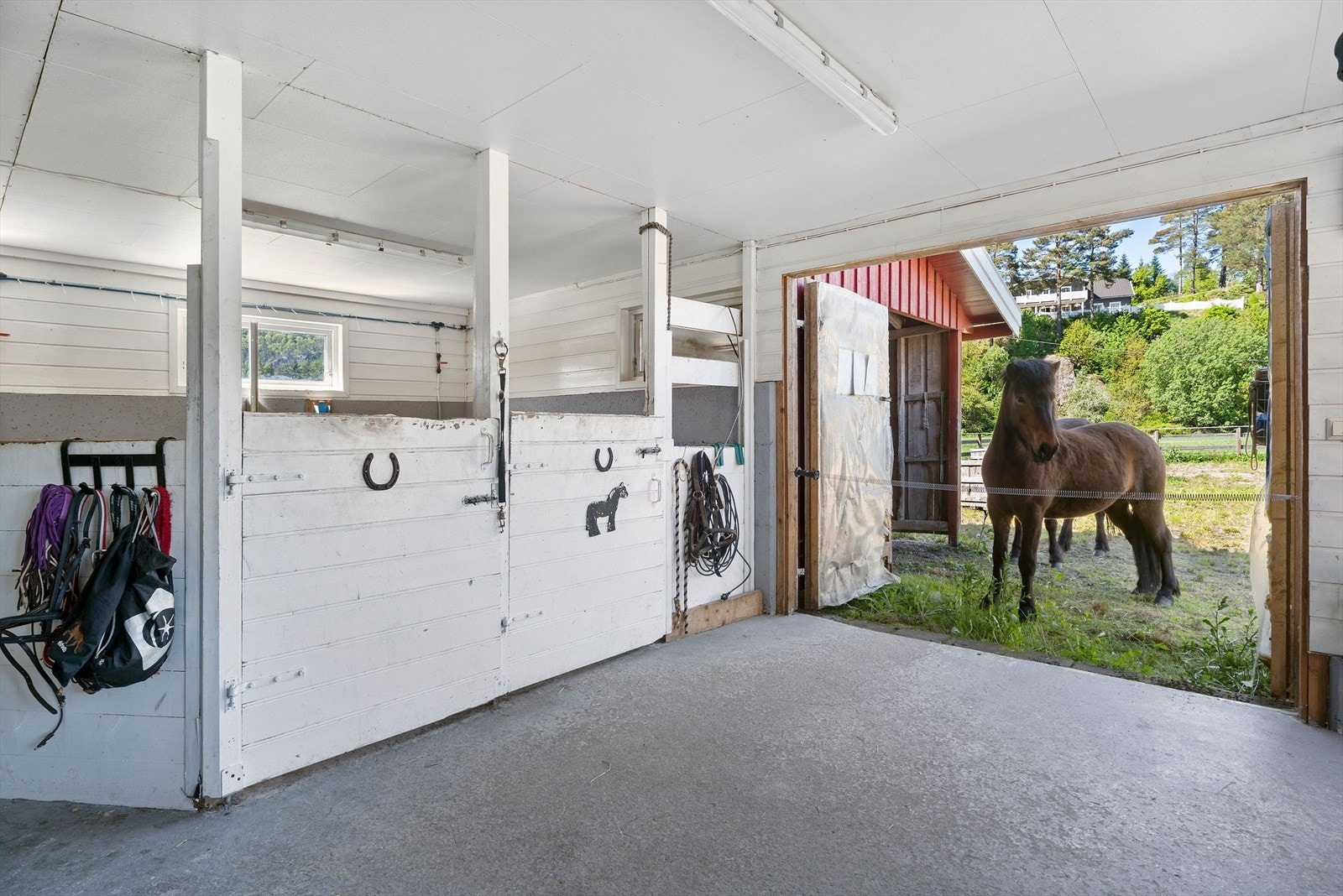 Stall Galleribilde