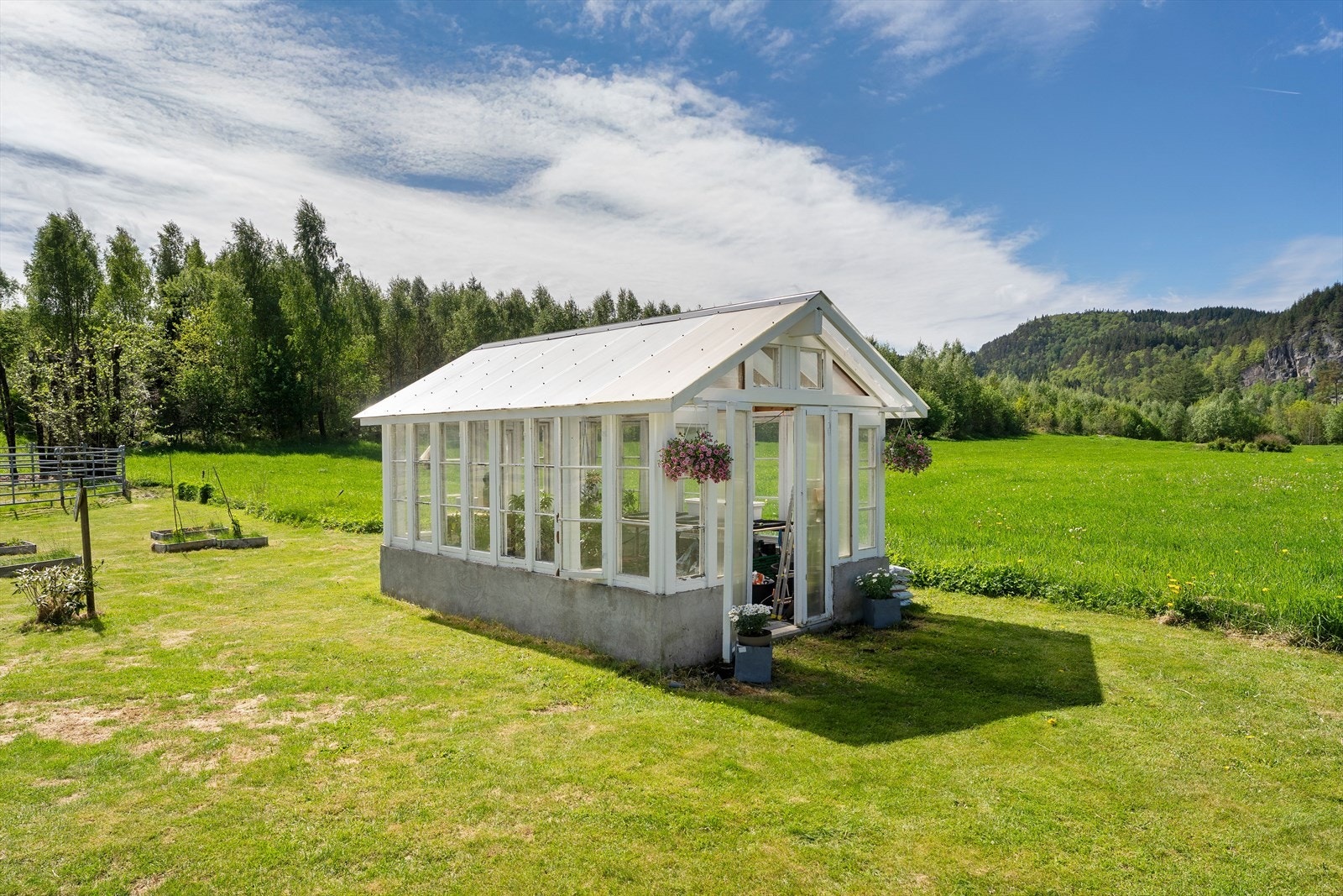 Drivhus Galleribilde