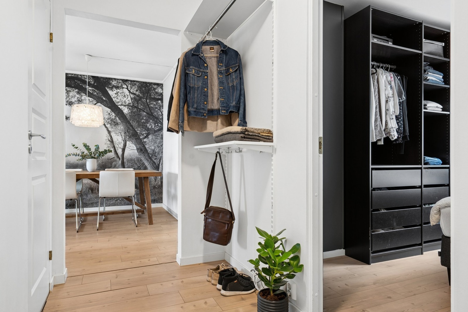 Fra entreen er det tilgang til leilighetens øvrige rom. Gjennomgående laminat på gulv. Galleribilde