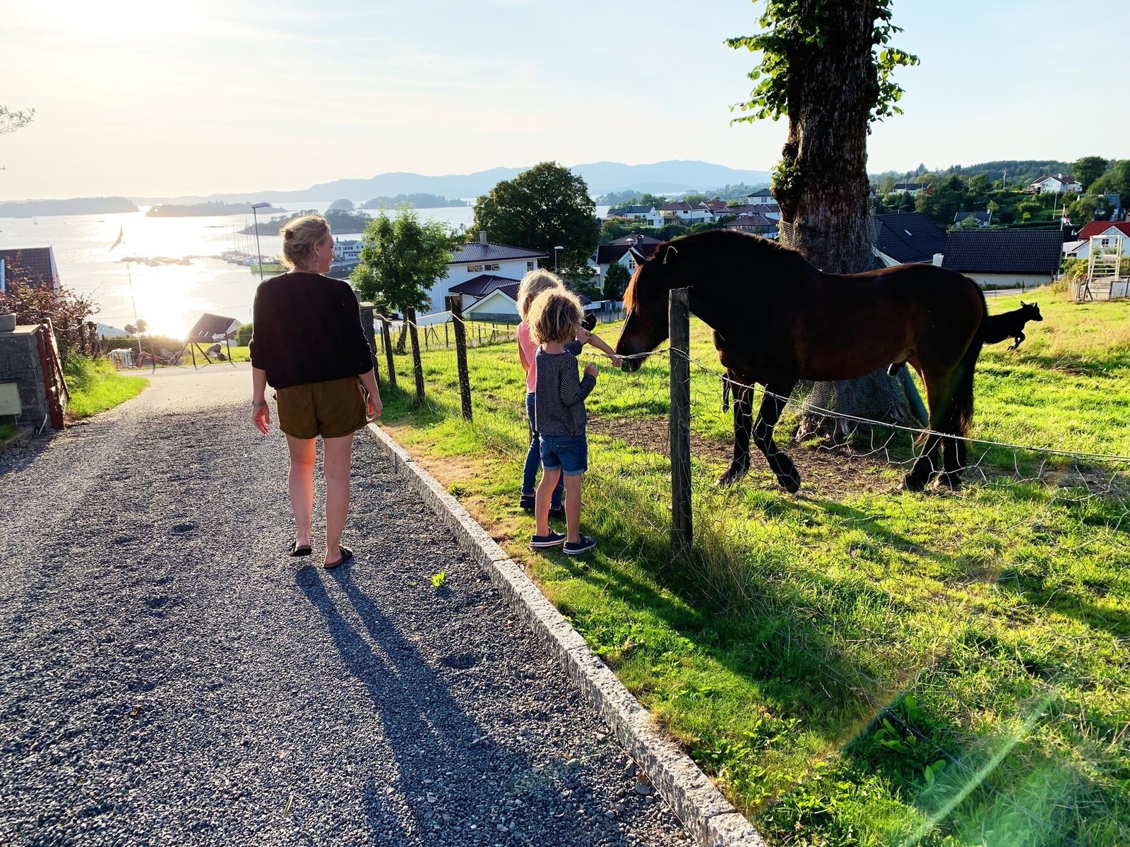 Hestene i nabolaget er spesielt populær blant barna. Den landlige atmosfæren skaper en følelse av ro og tilhørighet. Galleribilde