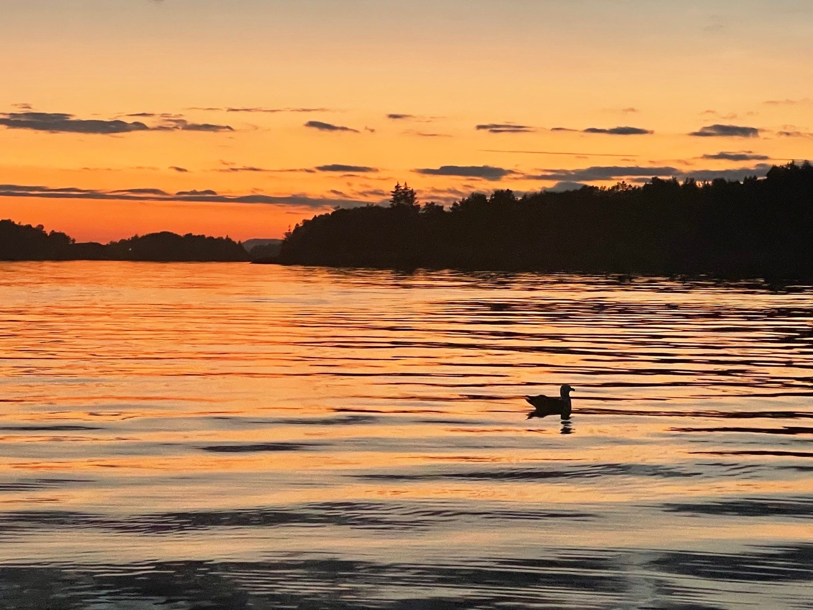 Rolig kveldsfiske på Hjellestad eller havfiske ved Marsteinen. Mulighetene er mange. Galleribilde