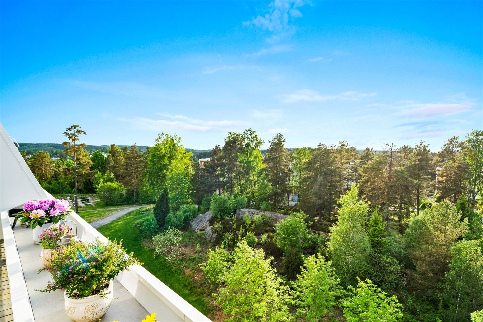 Fra uteplassen er det flott utsyn mot frodig skogsområde. Galleribilde