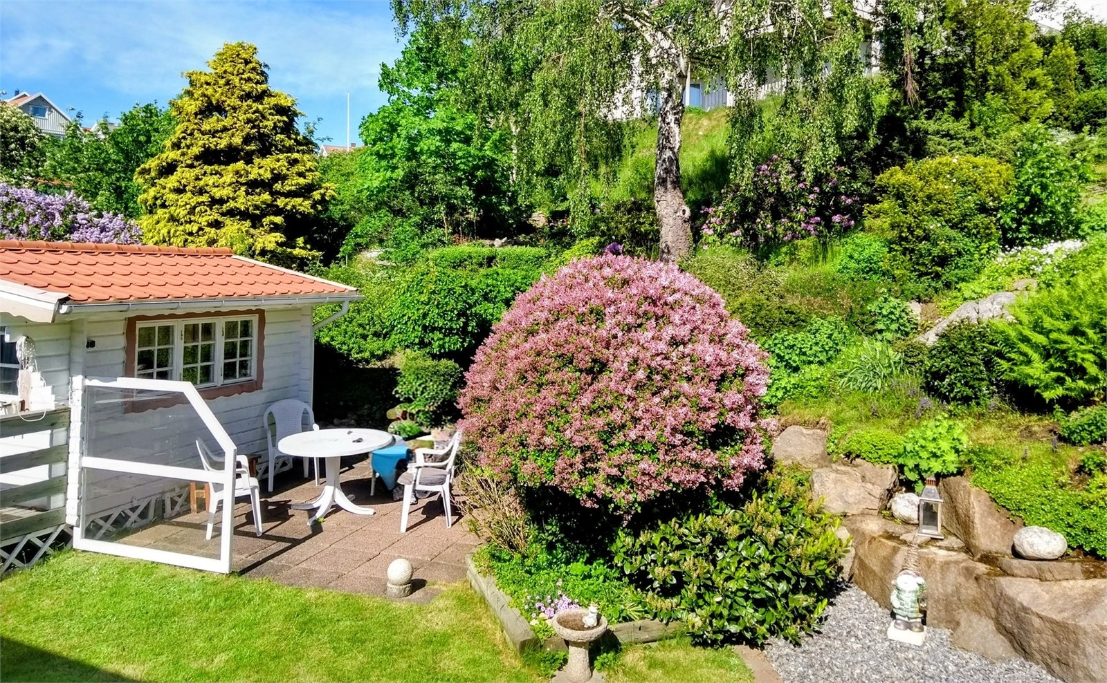 Säljarens sommarbild på den skyddade baksidan Galleribilde