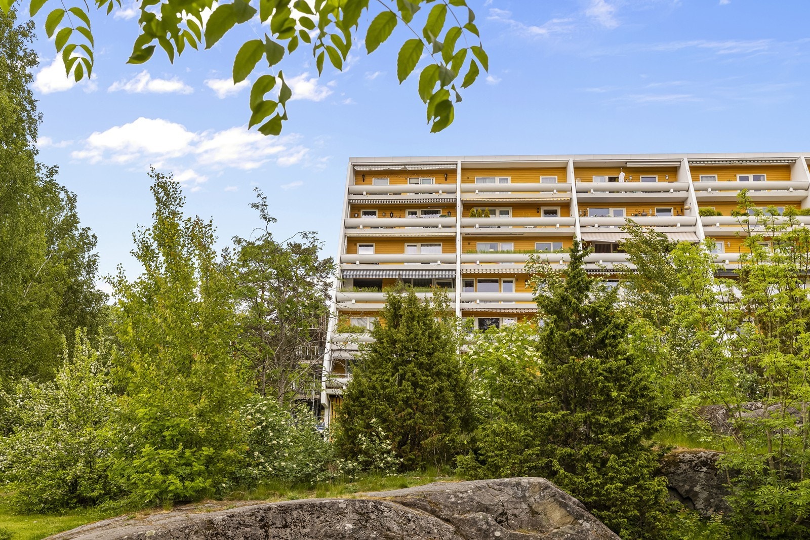 Fra leiligheten er det umiddelbar nærhet til skog og mark. Galleribilde