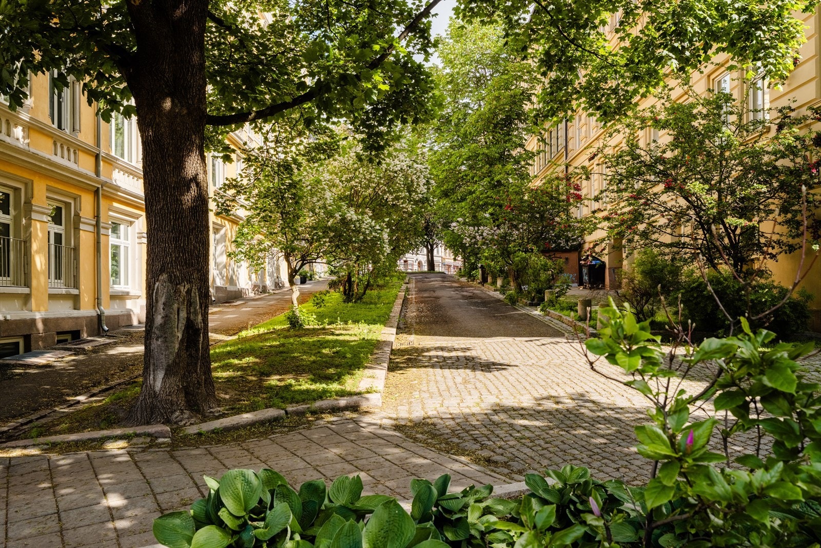 Områdebilde. Galleribilde