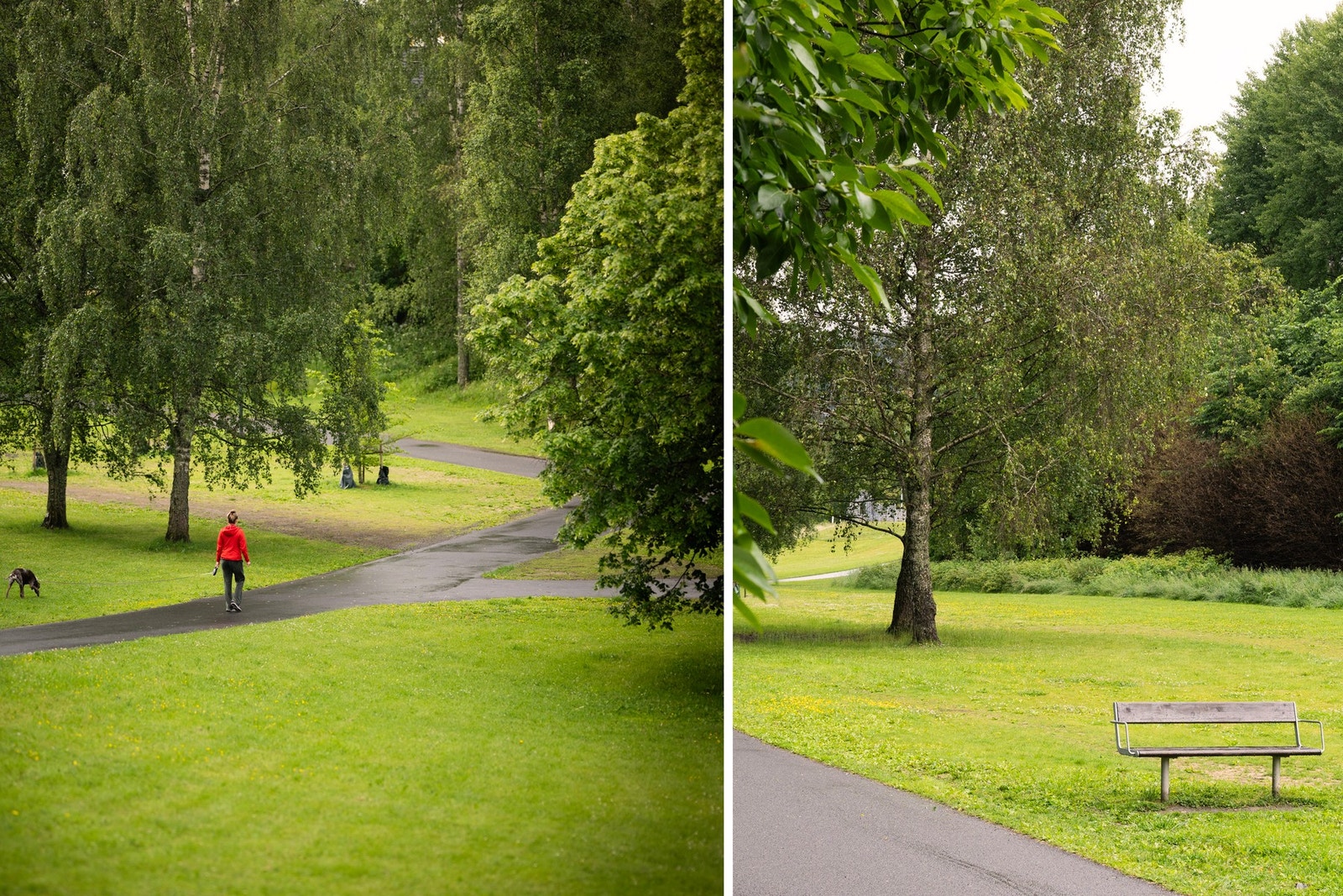 Mærradalen og Hovseterdalen byr på flotte turmuligheter i grønne omgivelser, med stier og åpne parkdrag som gjør det enkelt å ta hverdagsluften rett i nærområdet. Galleribilde