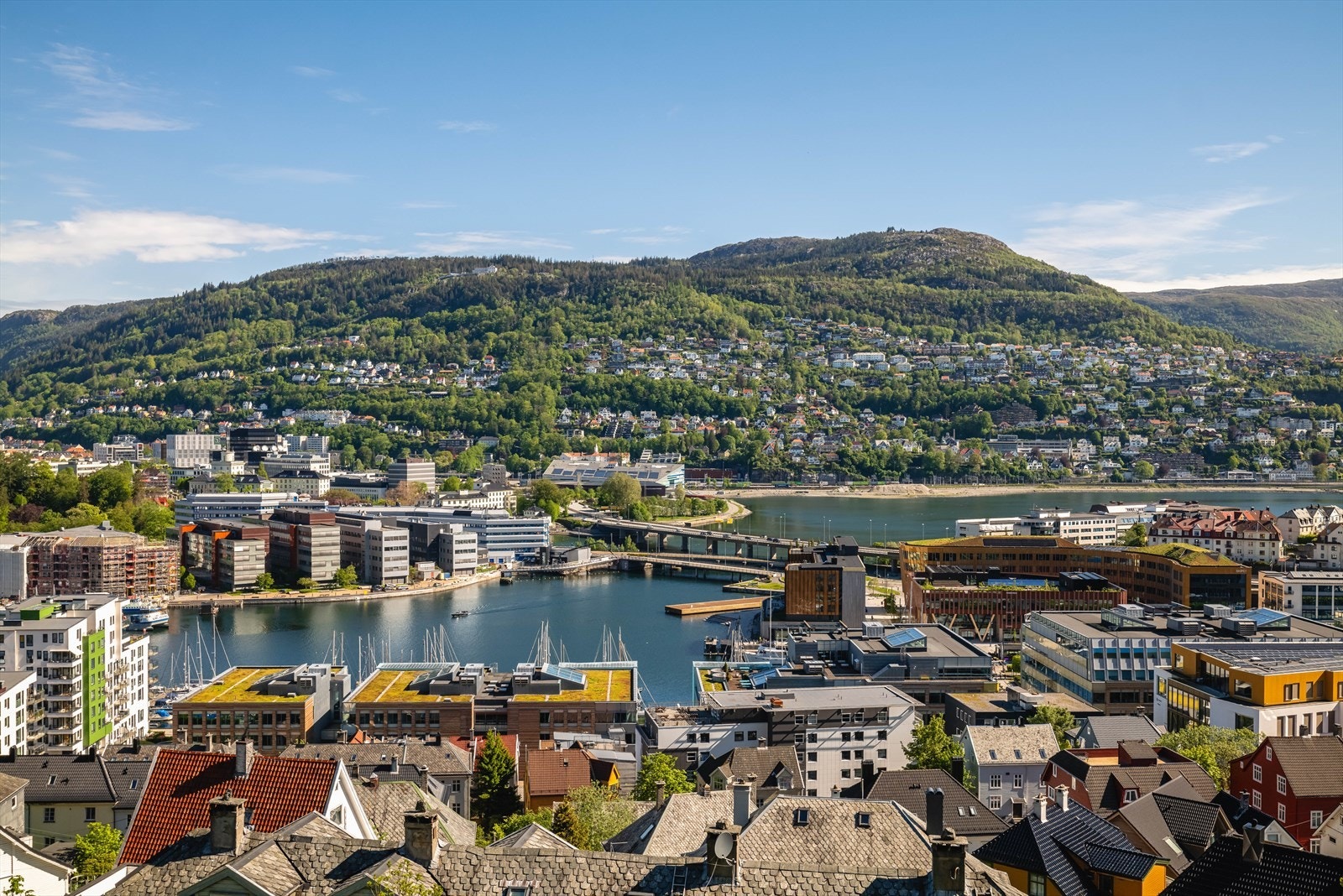 Utsikt mot Fløyen. Galleribilde