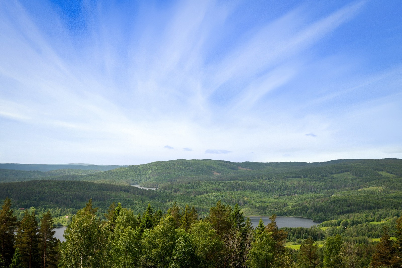 Utsikten strekker seg over frodige skogsområder, Bogstadvannet og Østernvann, med Nordmarka som et vakkert og bakteppe. Galleribilde