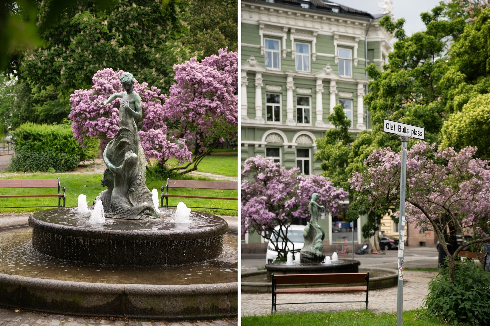 Masse grøntområder rett i nabolaget. Galleribilde