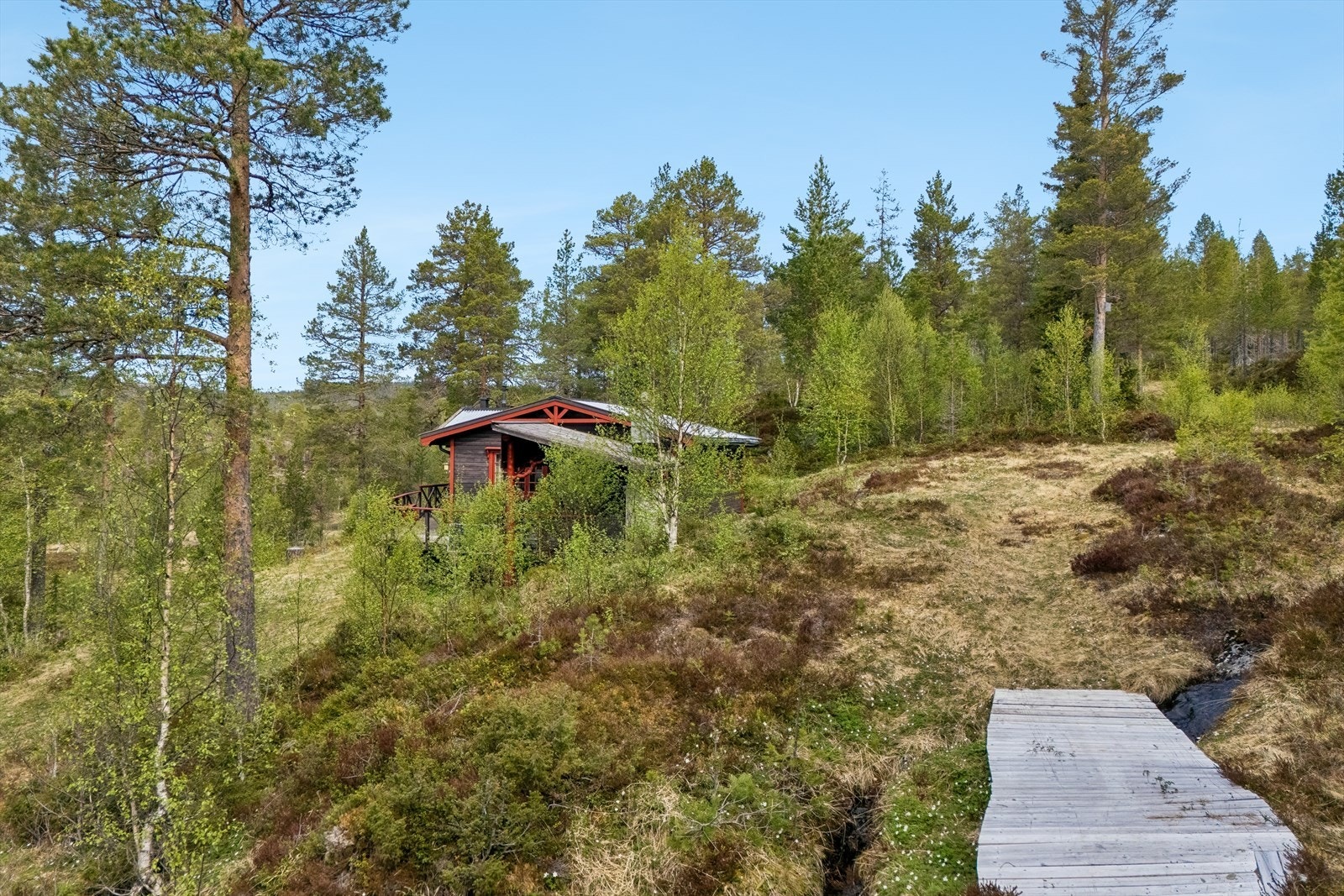 Det går sti hele veien fra parkeringen og frem til hytta Galleribilde