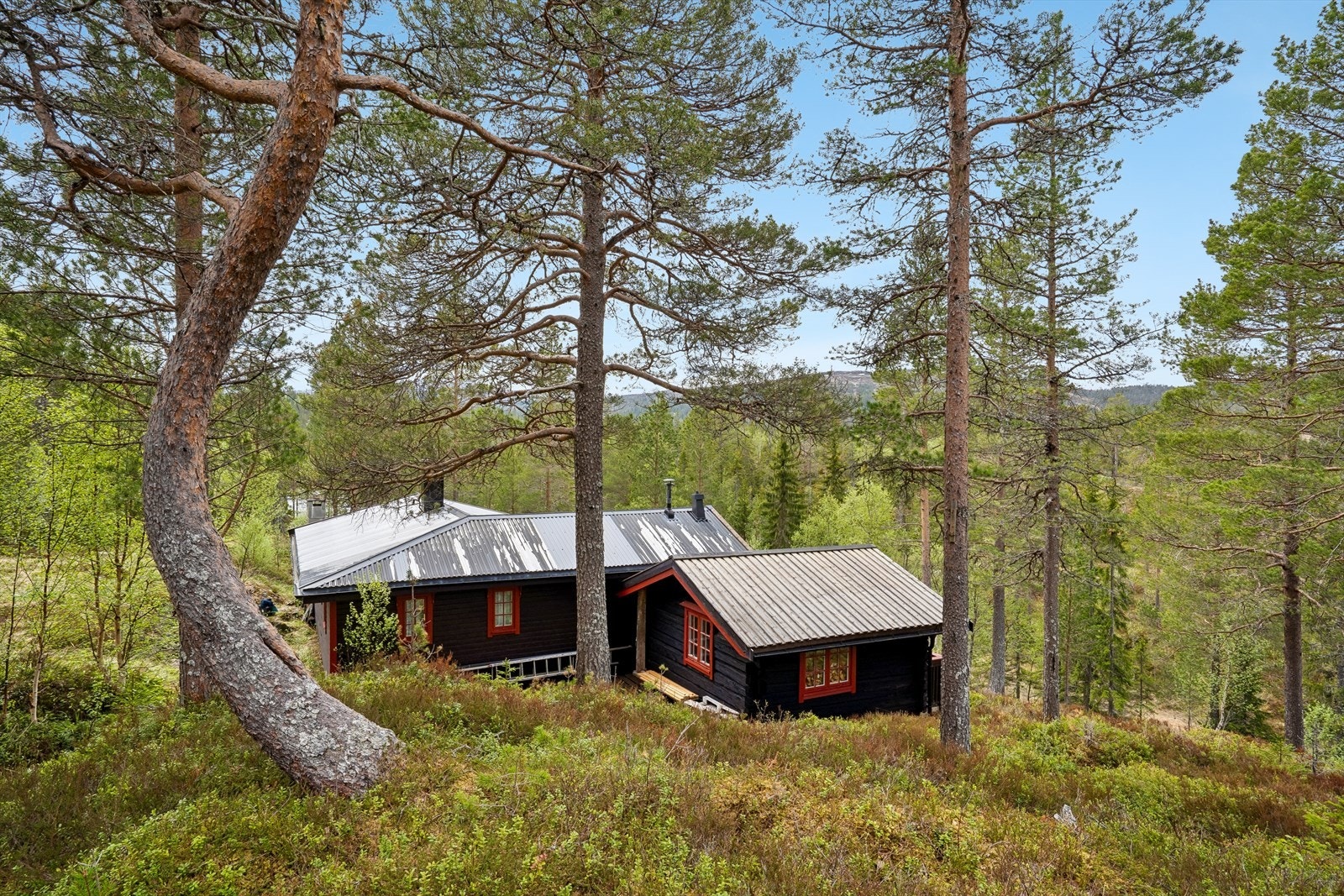 Turmuligheter rett utenfor døren Galleribilde