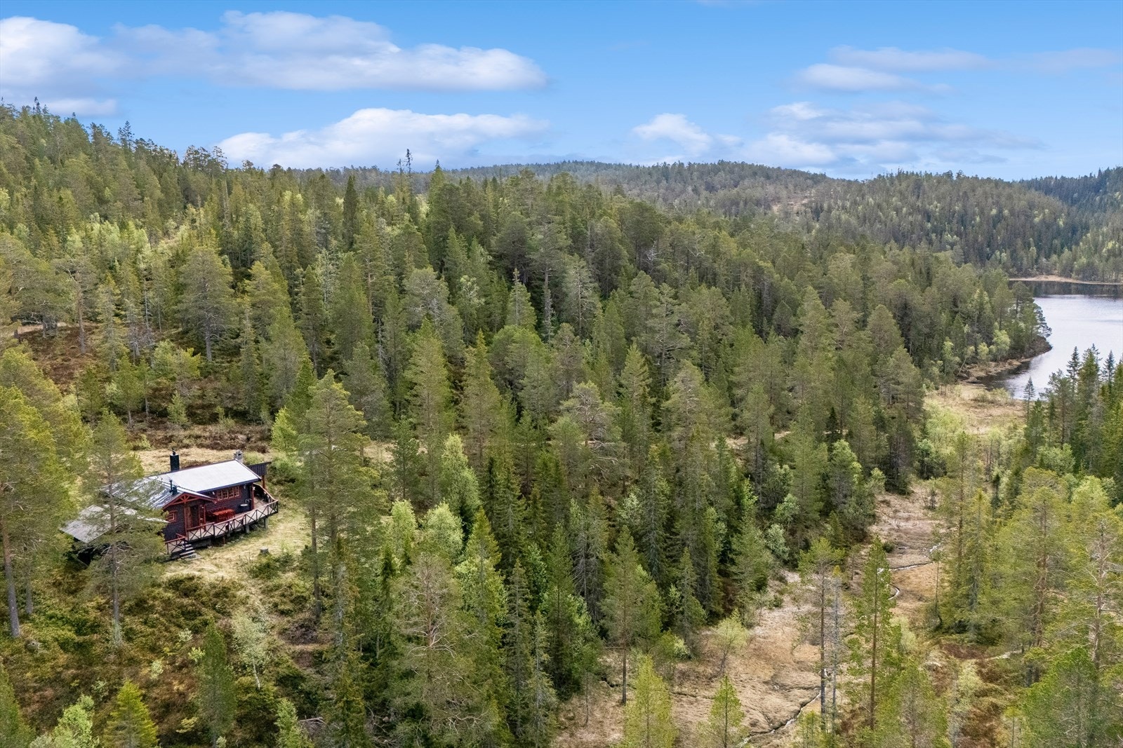 Kort vei til Tortsjøen med bademuligheter Galleribilde