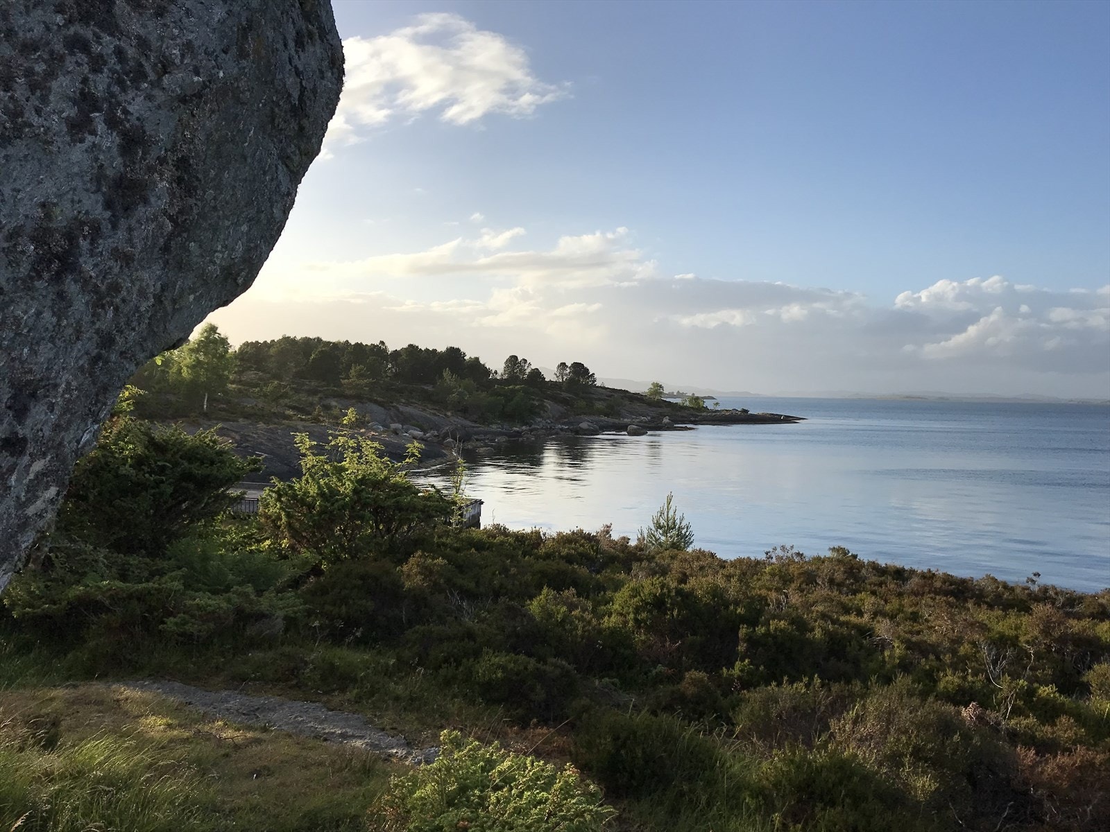 Attraktivt nærområde med vakre omgivelser på Vassøy (bilde fra selger) Galleribilde