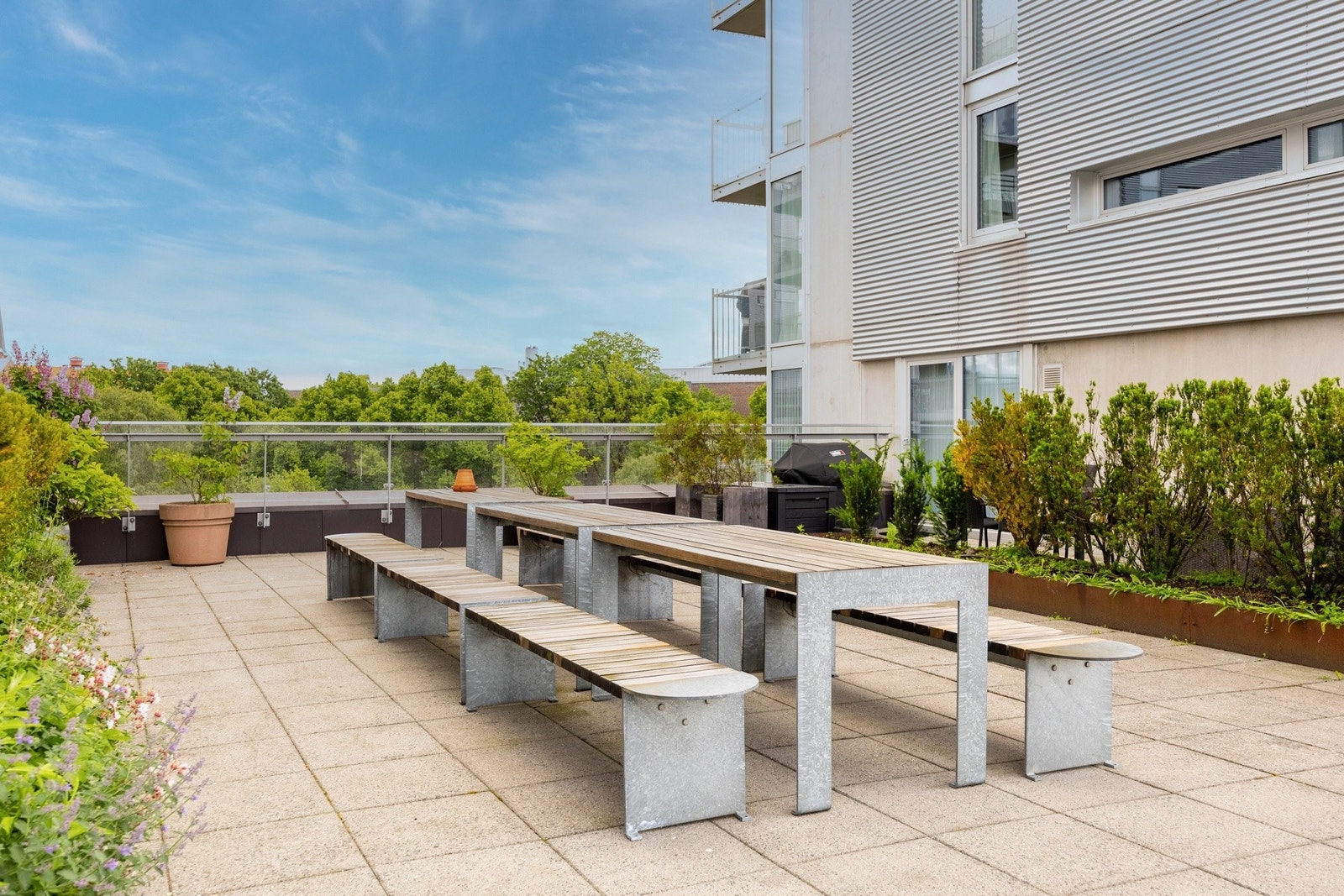 Veldrevet sameie med stor felles takterrasse. Perfekt for sosiale sammenkomster. Galleribilde