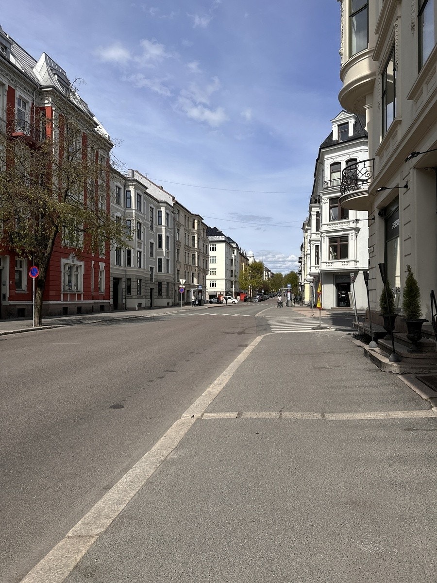 Frognerparken er i gåsvstand Galleribilde