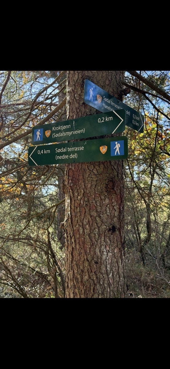 Kort vei til Jegersberg Galleribilde
