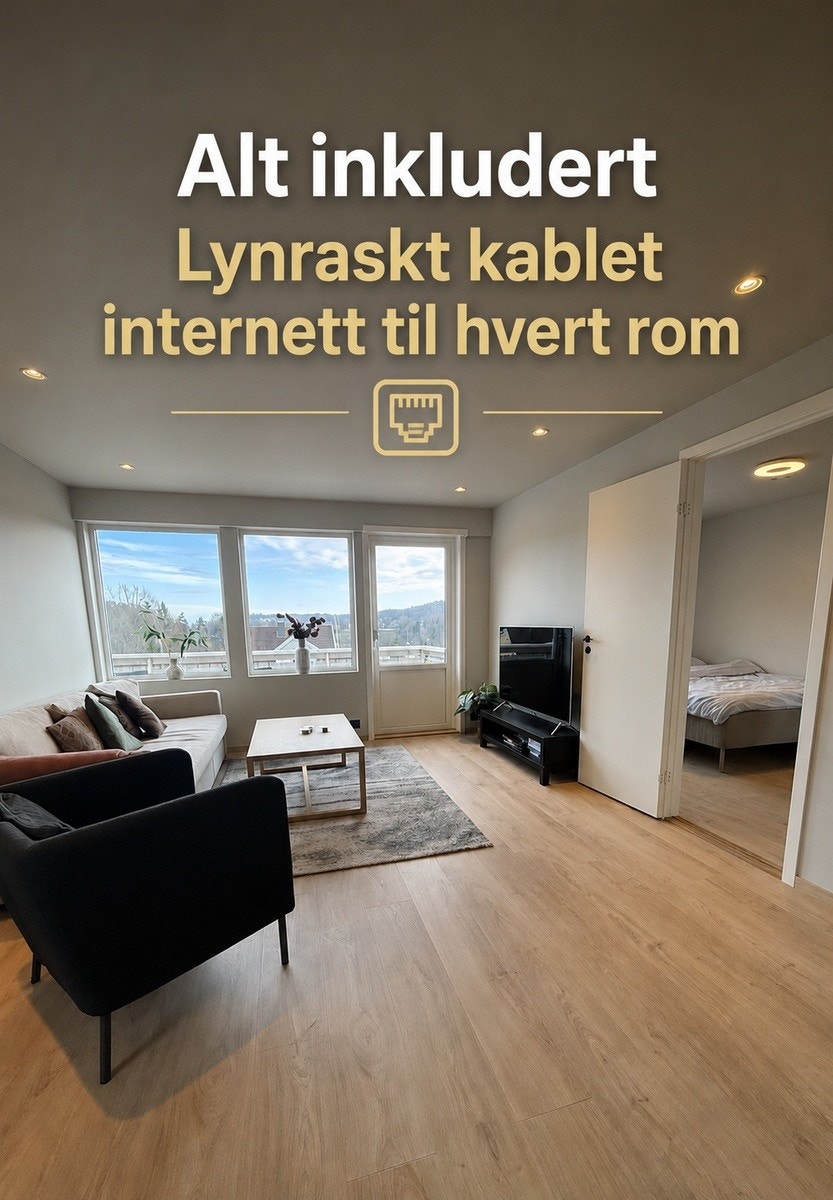 Stue Galleribilde