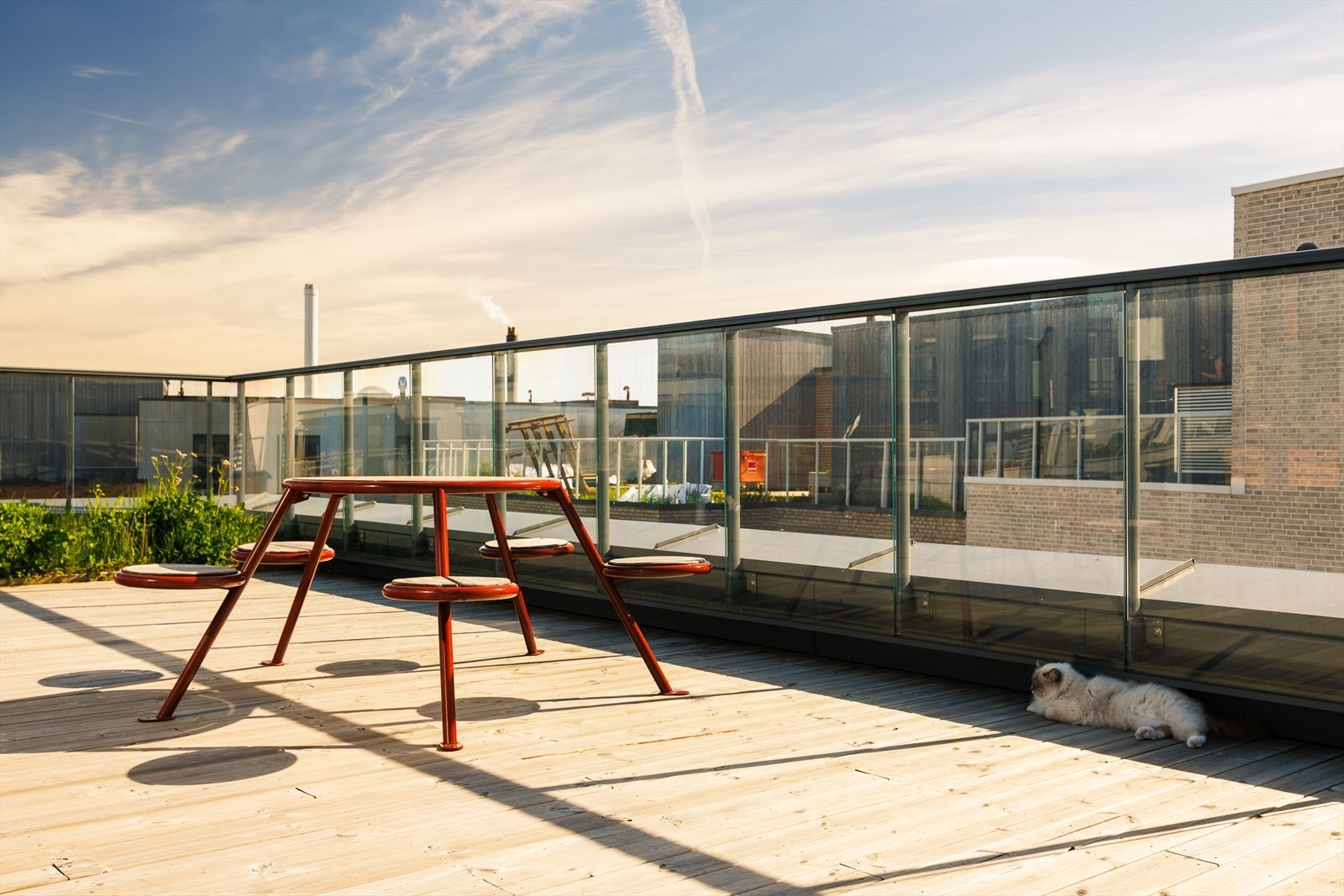 Felles takterrasse med sittegrupper Galleribilde